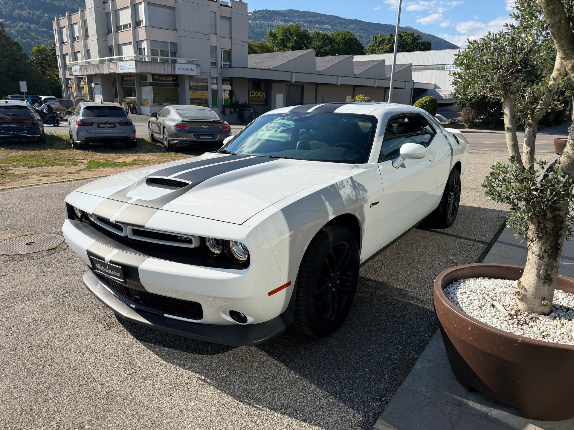 DODGE Challenger-image-5