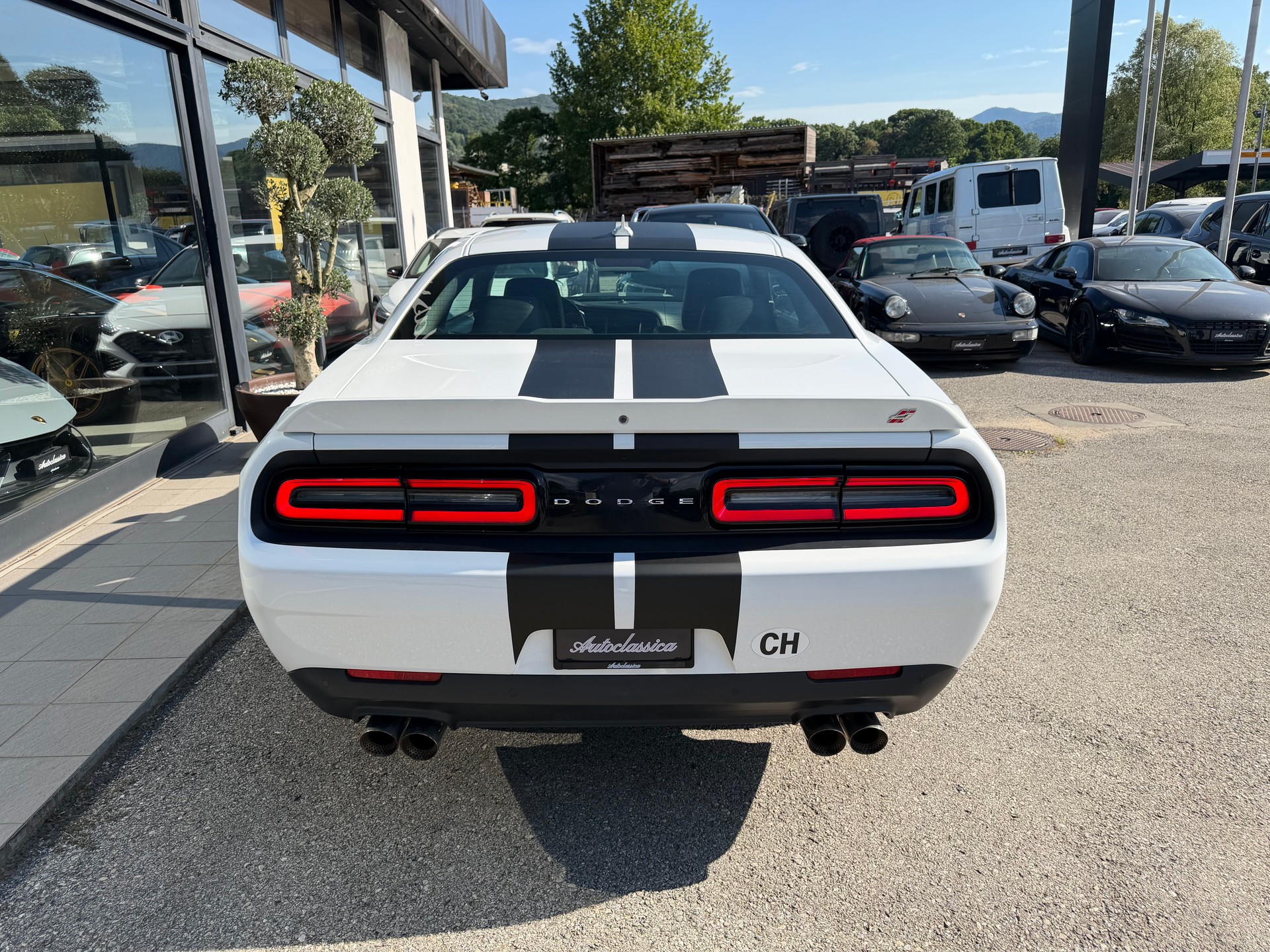 DODGE Challenger-image-2
