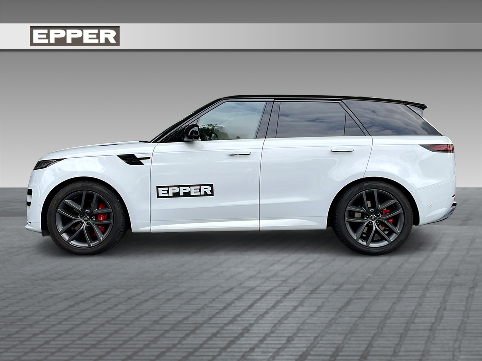 LAND ROVER Range Rover Sport 3.0 I6 250 SE Dynamic-showroom-element-1