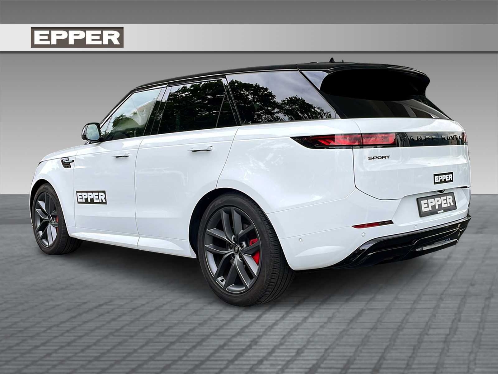 LAND ROVER Range Rover Sport 3.0 I6 250 SE Dynamic-showroom-element-2