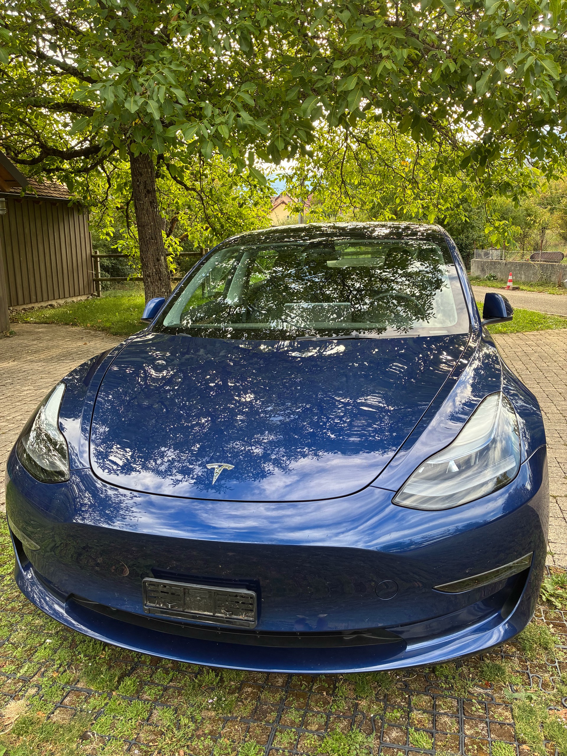TESLA Long Range D-image-2