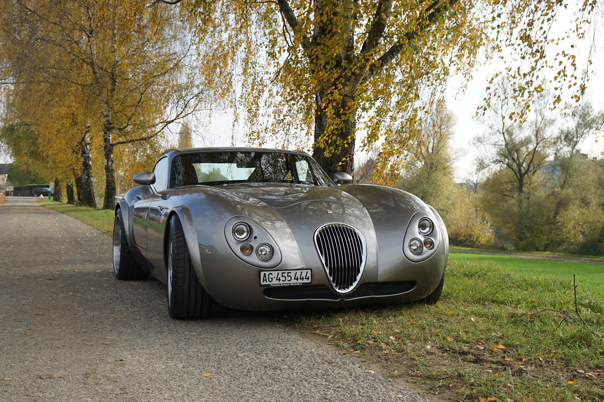 WIESMANN COUPE MF4 GT-image-5