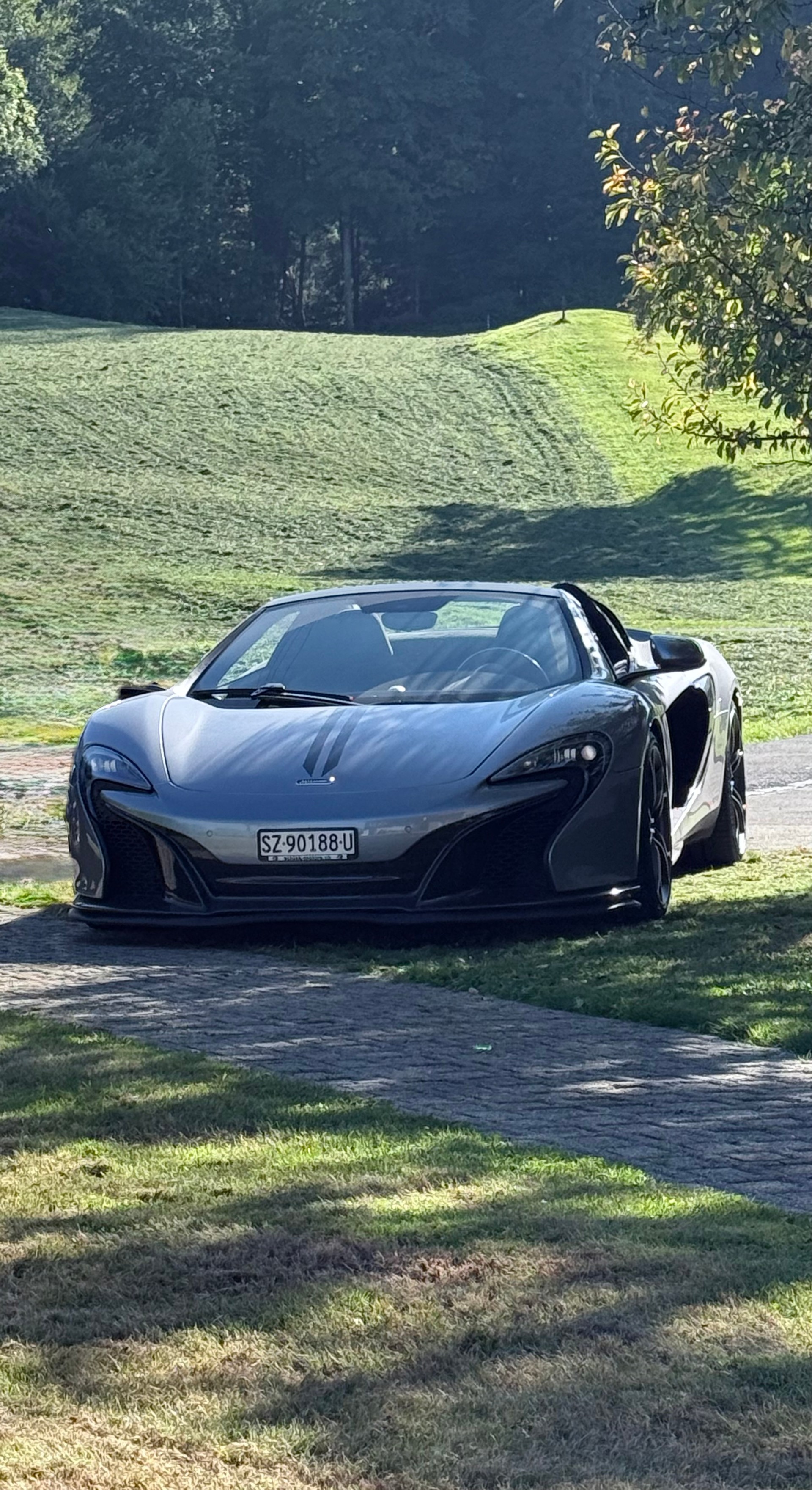 McLAREN 650S Spider 3.8 V8 SSG FULL CARBON