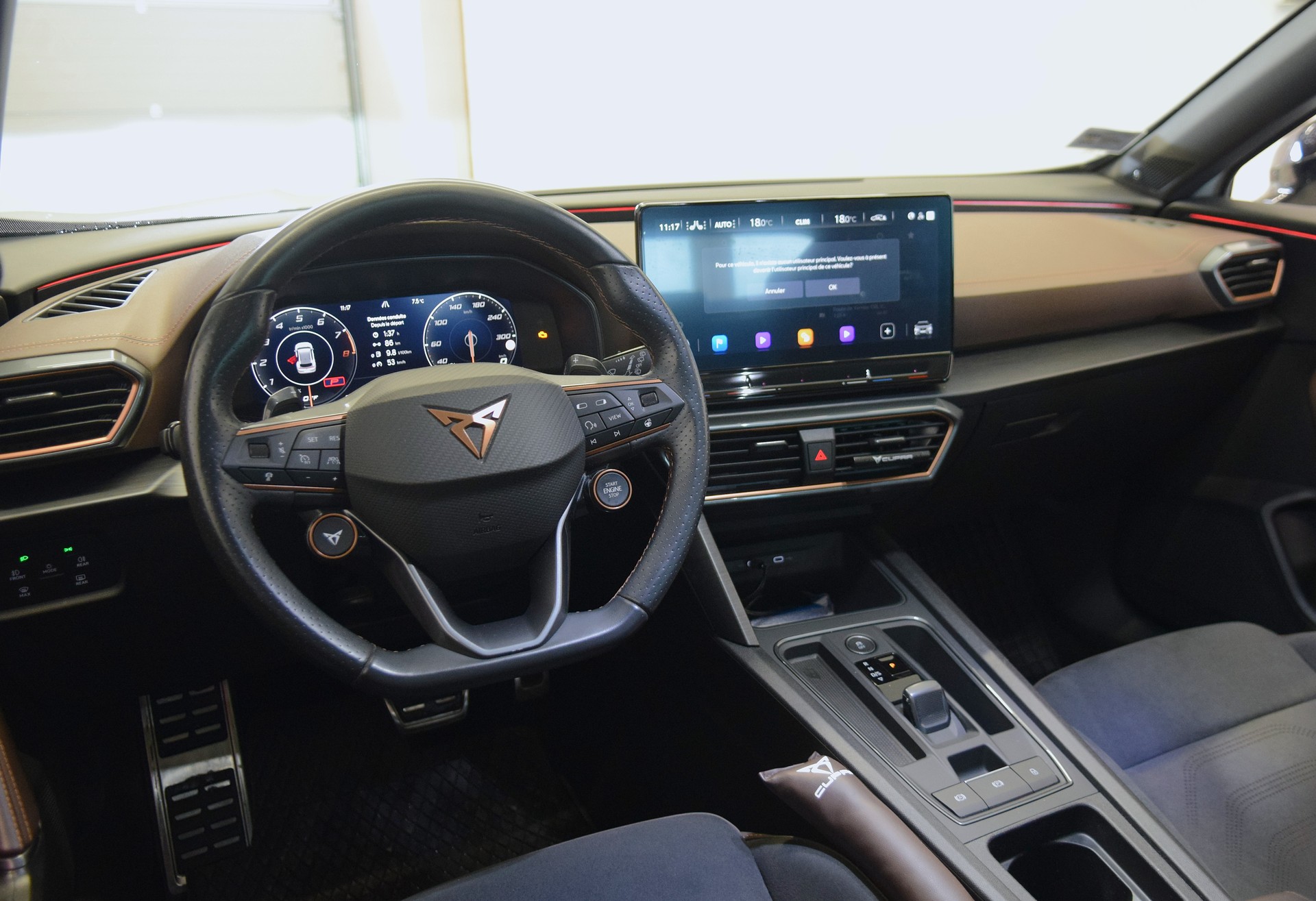 CUPRA Formentor 2.5TSI VZ5 Taiga Grey 4Drive DSG-image-12