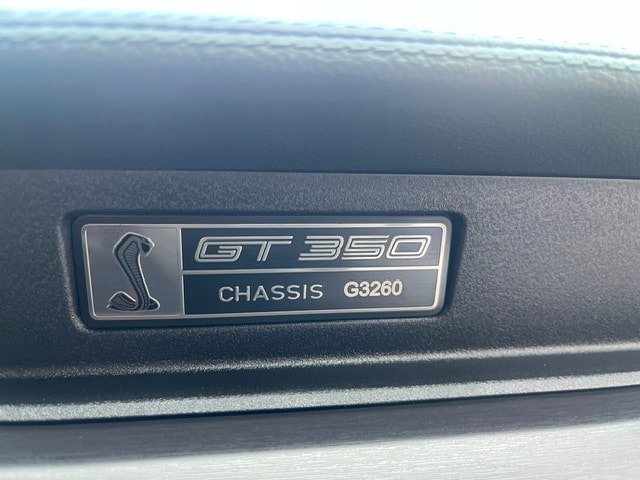FORD Shelby GT 350-image-14