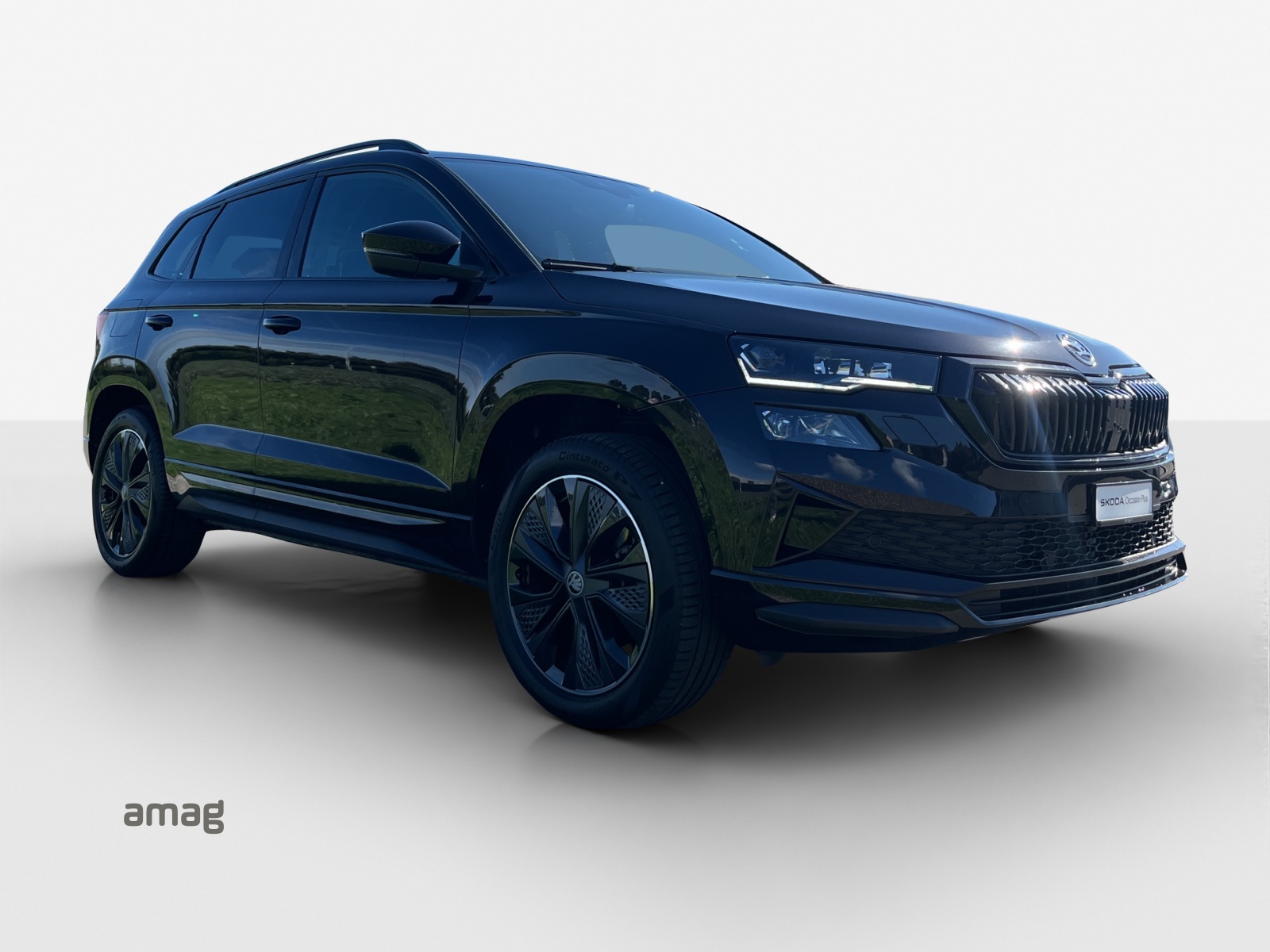 SKODA Karoq 2.0 TSI SportLine 4x4 DSG-image-5