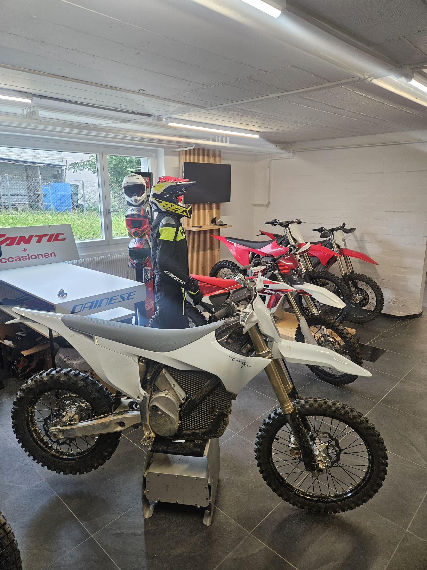 STARK VARG EX 60PS (Preis kann variieren)-showroom-element-2