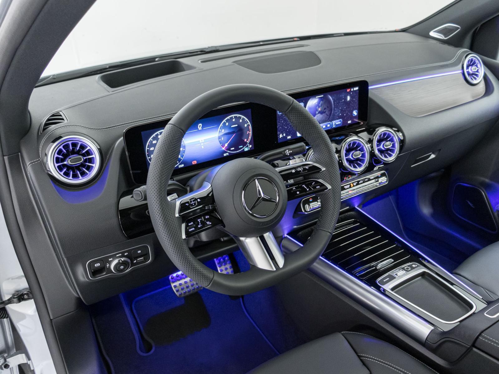 MERCEDES-BENZ B 250 4MATIC-image-10
