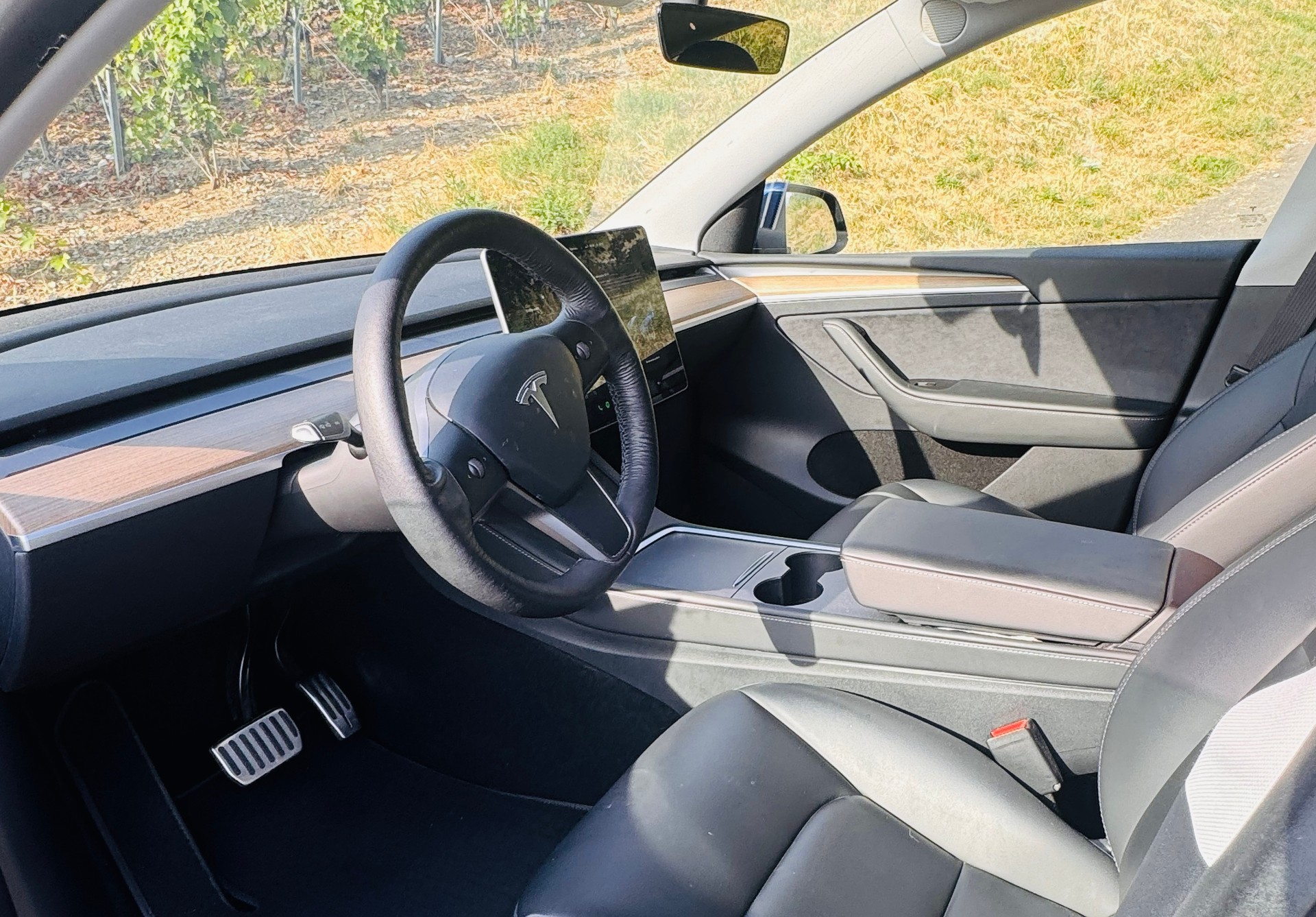 TESLA Model Y Long Range AWD-image-5