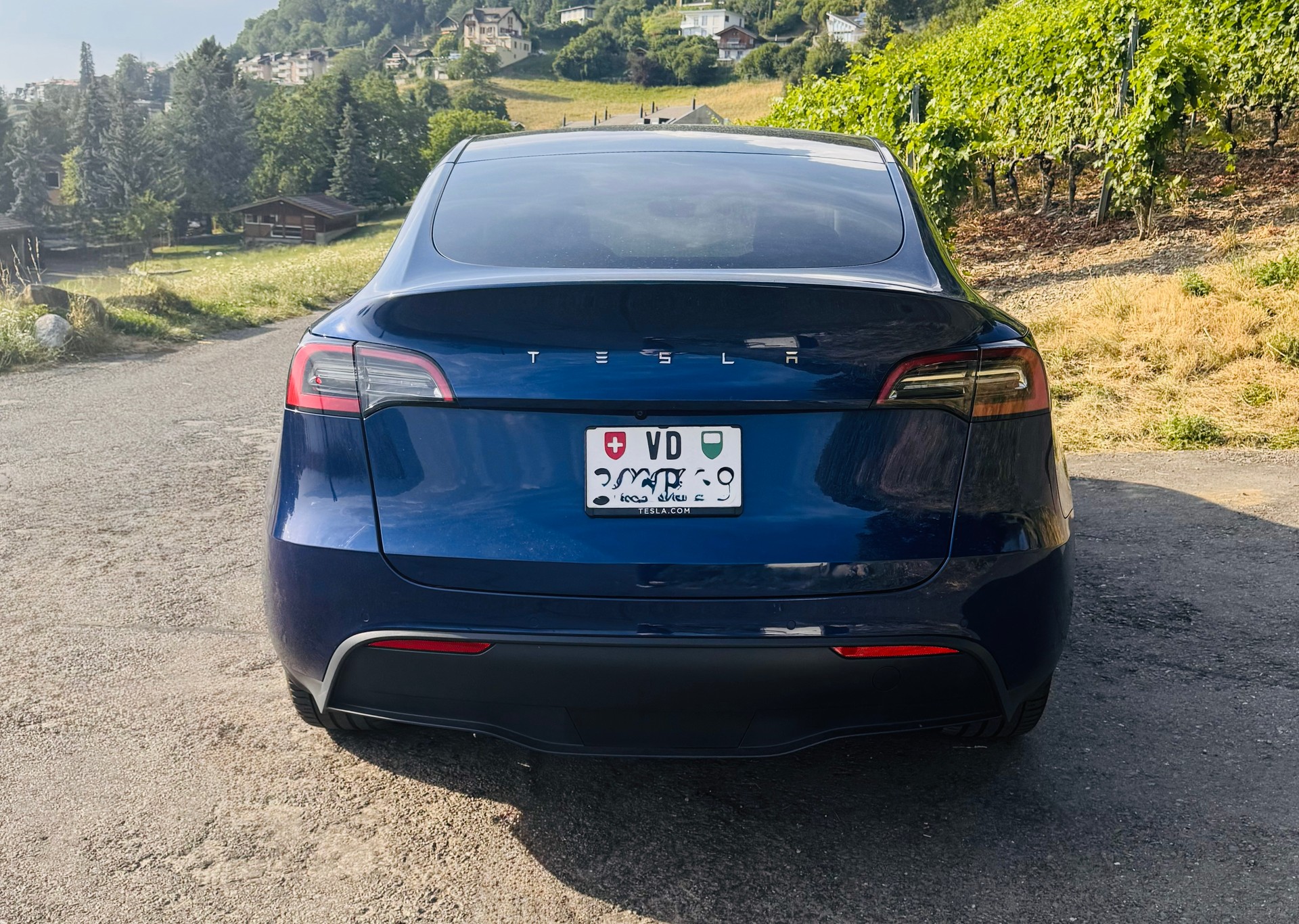 TESLA Model Y Long Range AWD-image-1