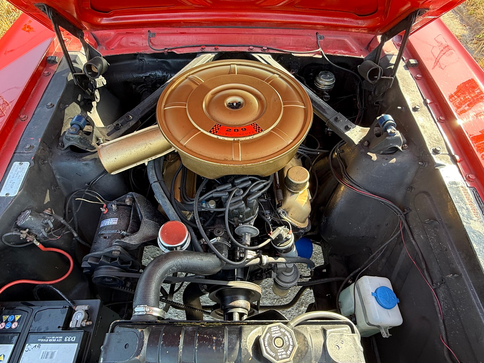 FORD Mustang 1964 1⁄2 Convertible 289 V8 | 4-Gang | Rally-Pac | ab MFK | Veteran-image-4
