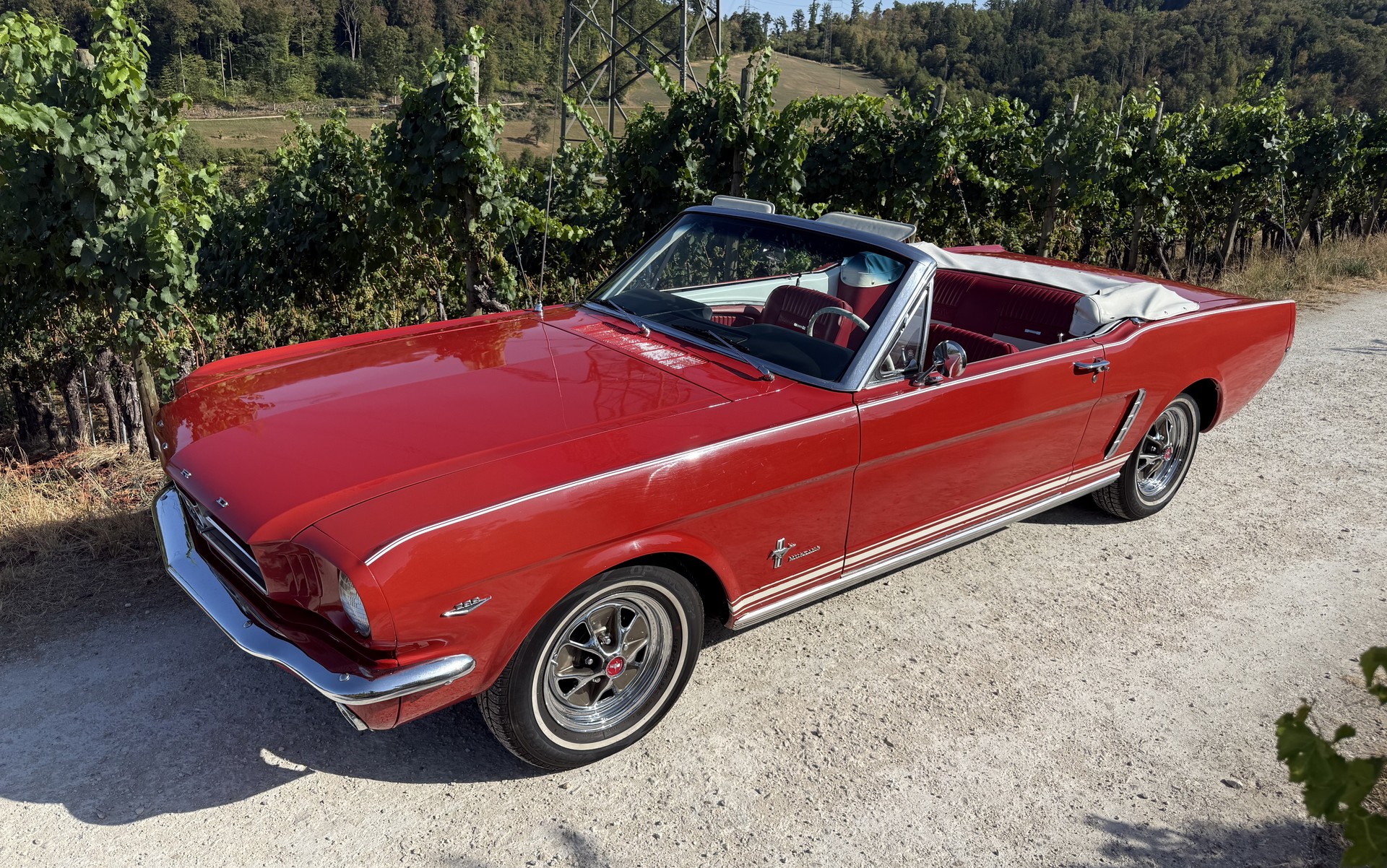 FORD Mustang 1964 1⁄2 Convertible 289 V8 | 4-Gang | Rally-Pac | ab MFK | Veteran-image-0