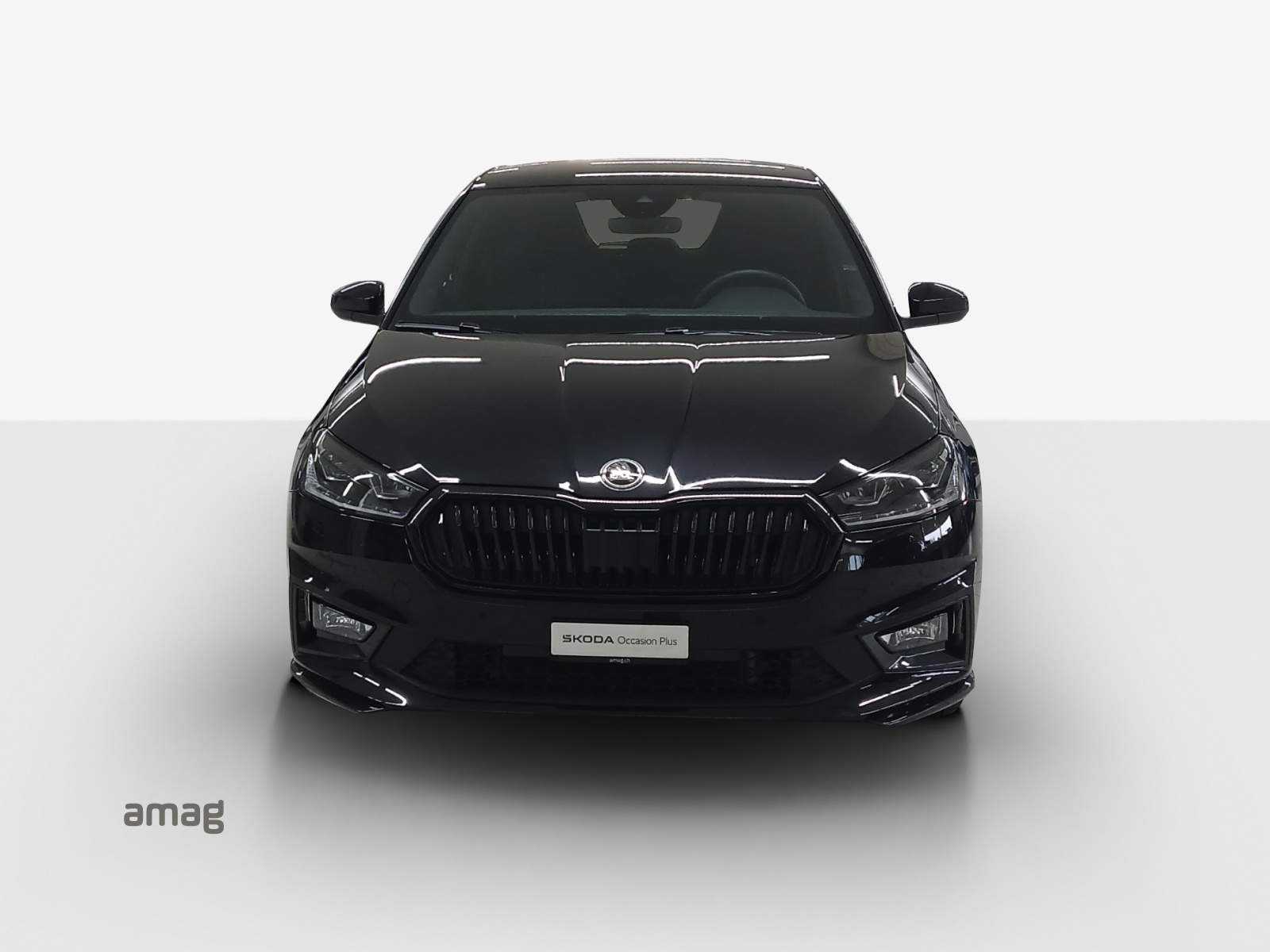 SKODA Fabia 1.5 TSI Monte Carlo DSG-image-6