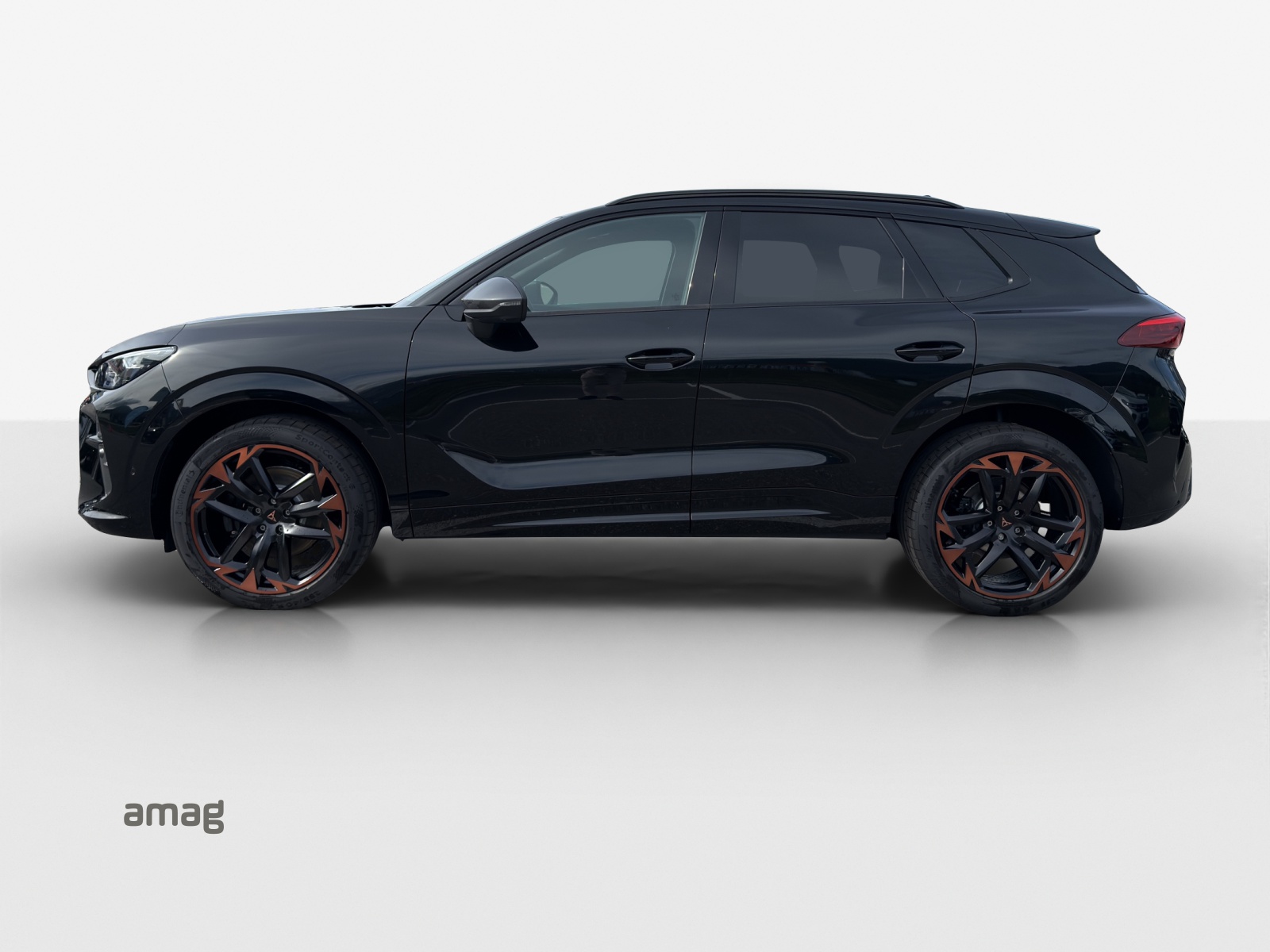 CUPRA Terramar 2.0 TSI DSG 4Drive VZ-image-1