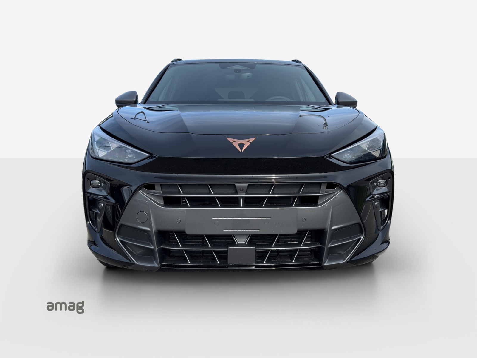 CUPRA Terramar 2.0 TSI DSG 4Drive VZ-image-6