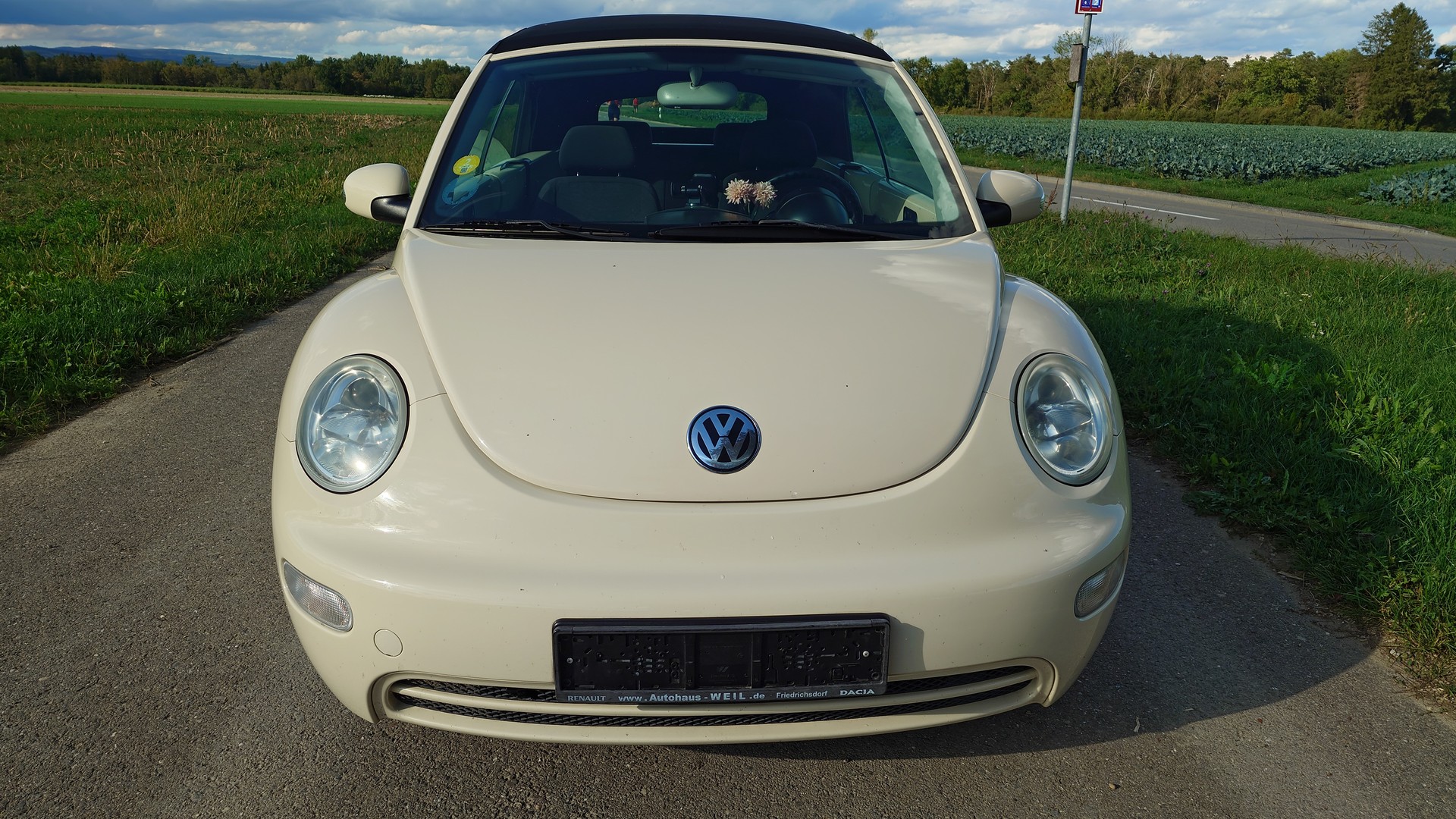 VW Beetle Cabrio 1.6-image-8