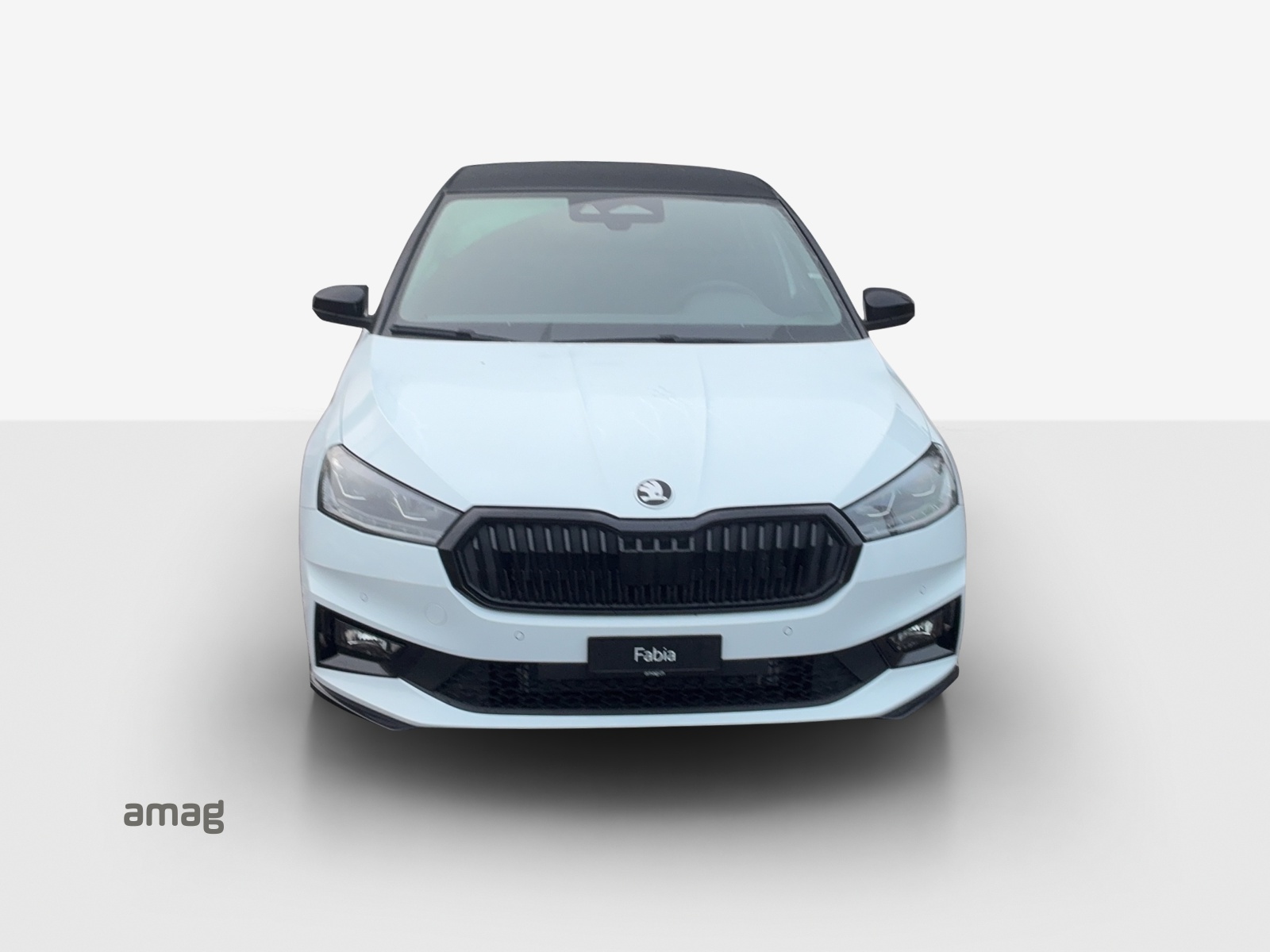 SKODA Fabia 1.5 TSI Monte Carlo DSG-image-6
