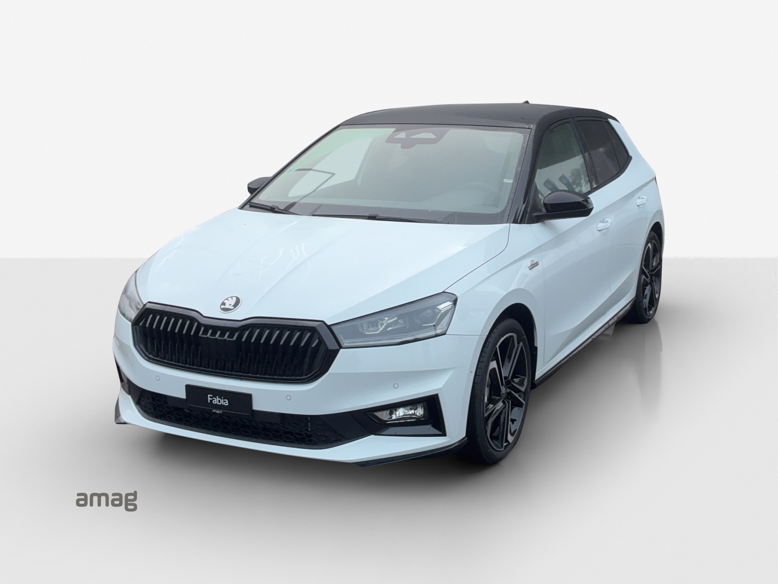 SKODA Fabia 1.5 TSI Monte Carlo DSG-image-0