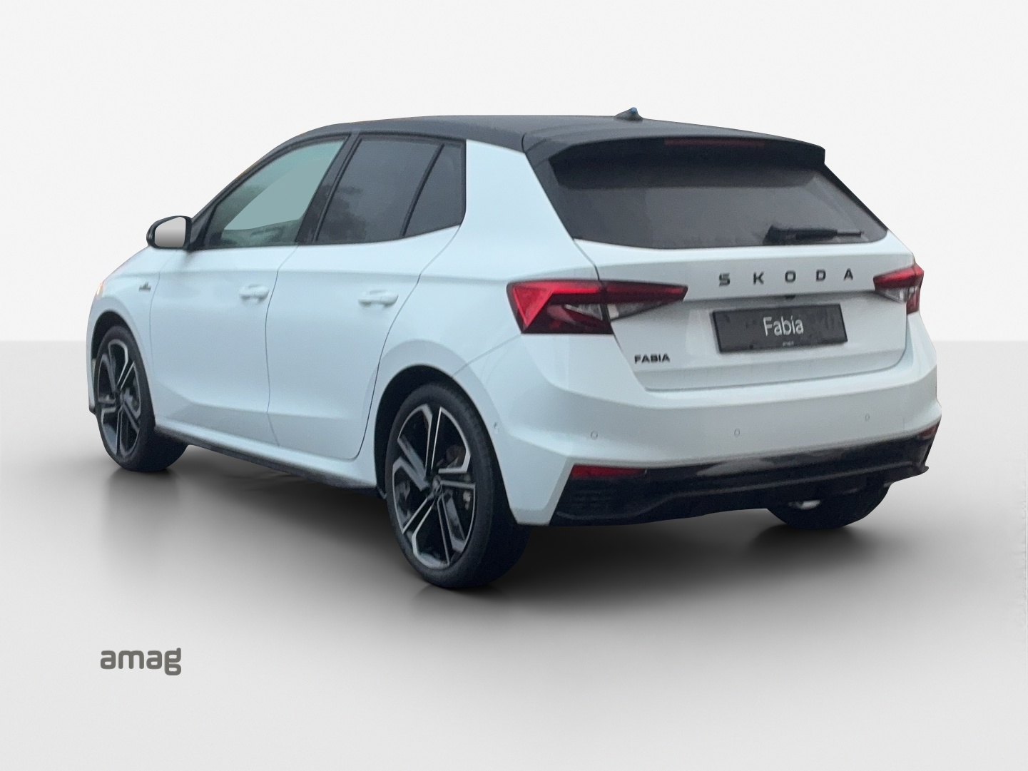 SKODA Fabia 1.5 TSI Monte Carlo DSG-image-2