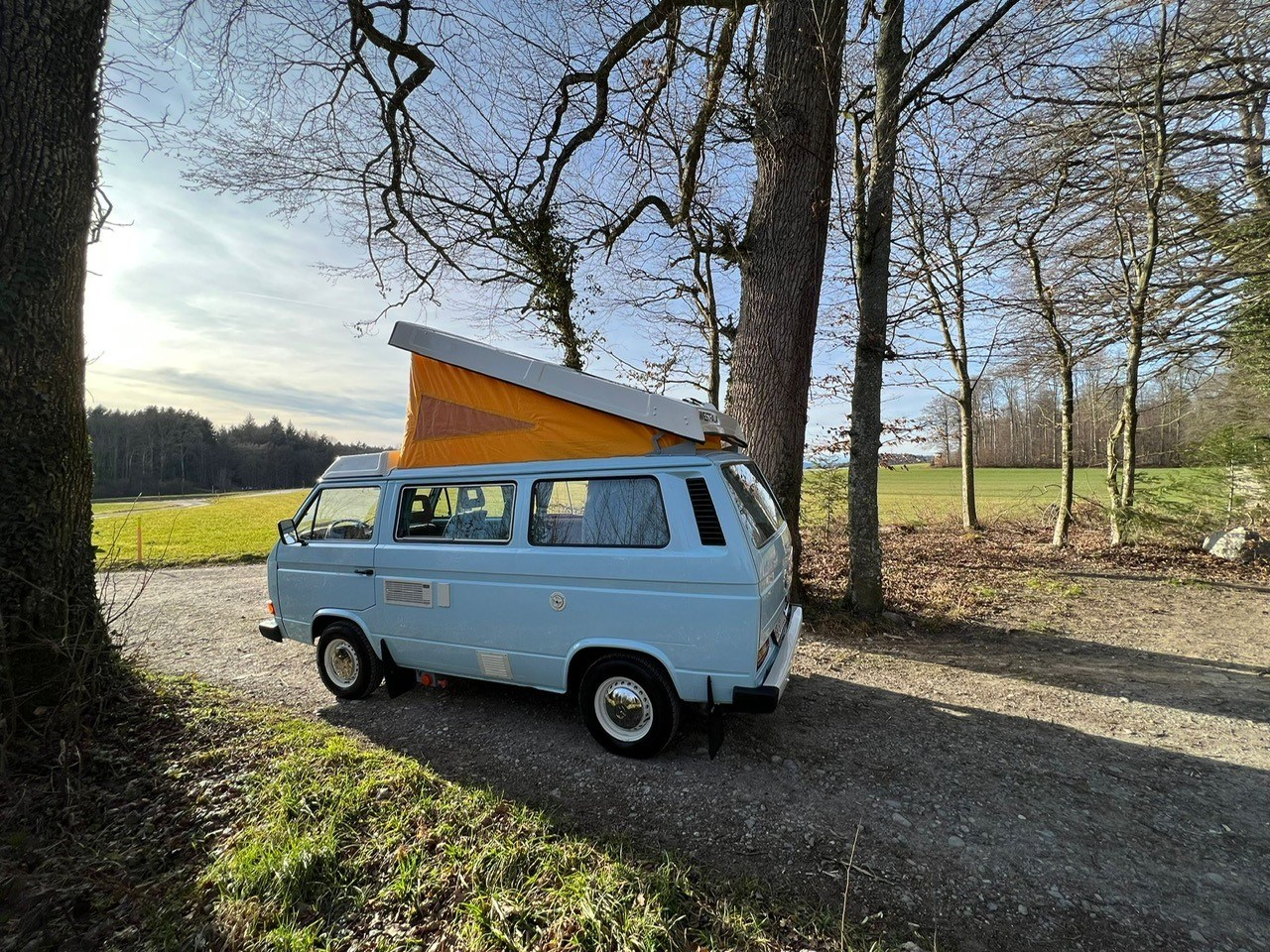 VW T3-image-6