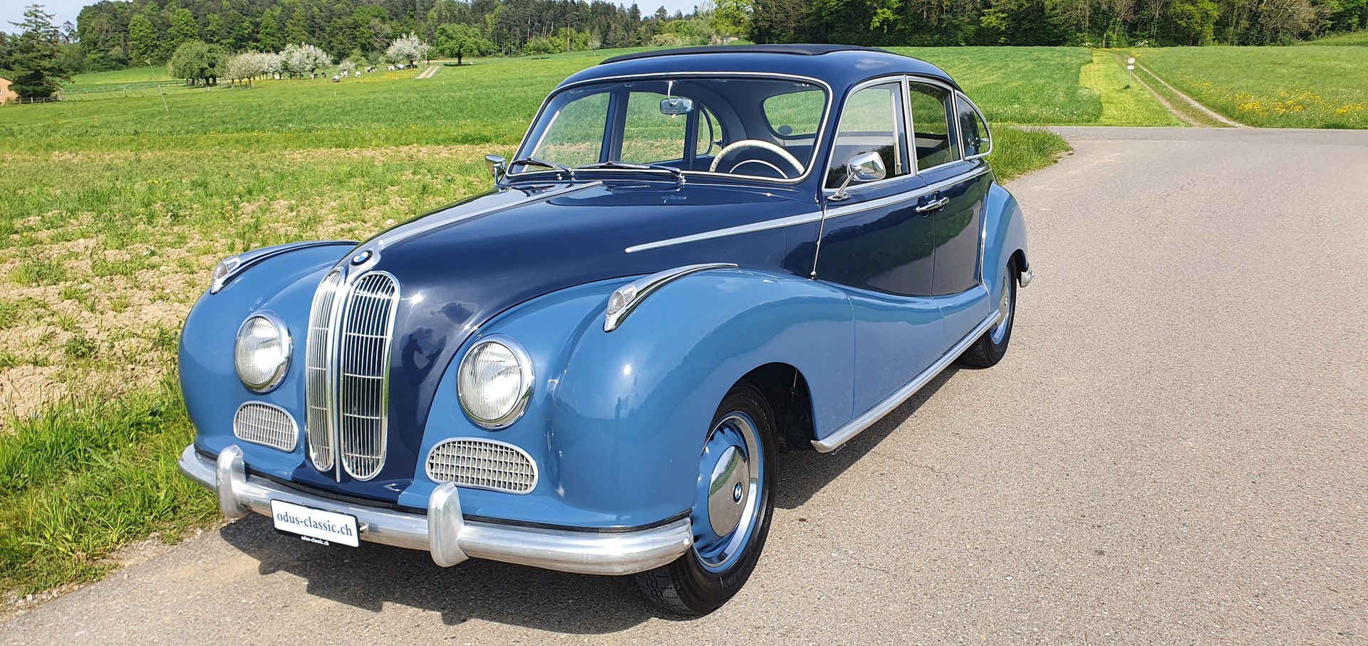 BMW 501-image-0