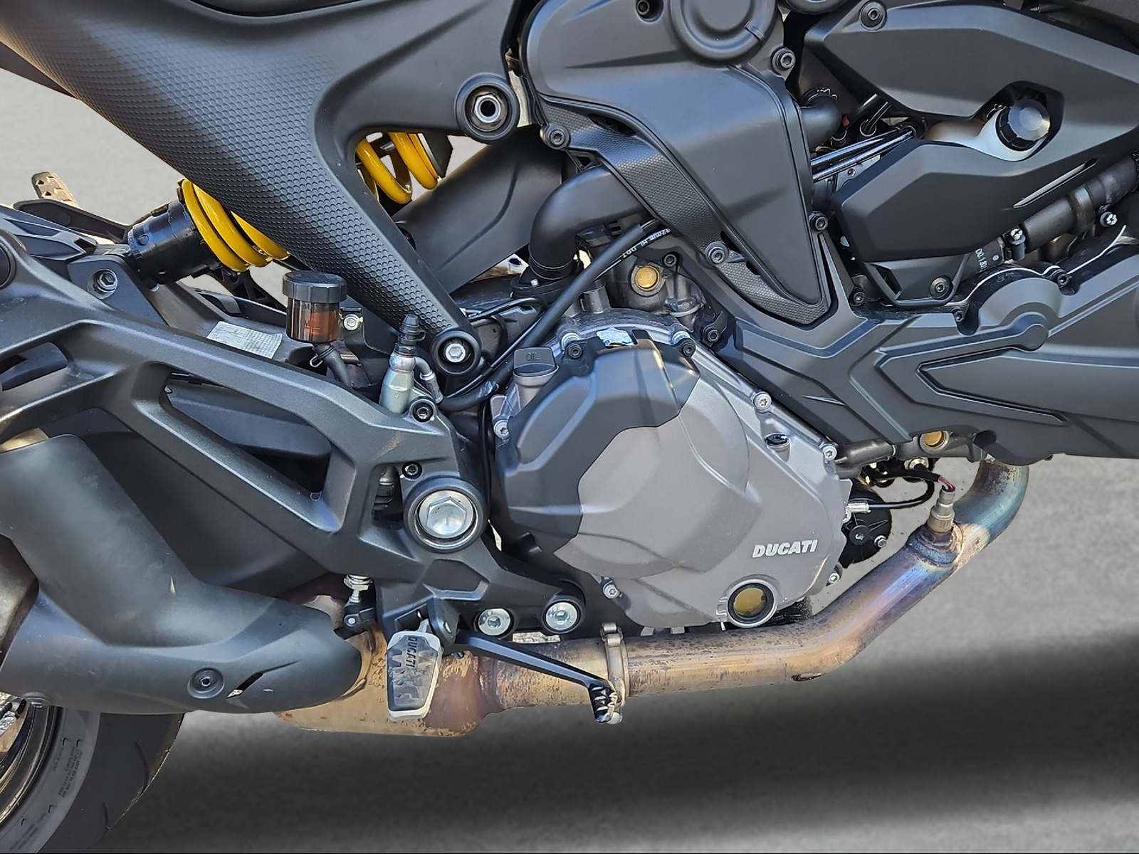 DUCATI Monster + 937-image-7
