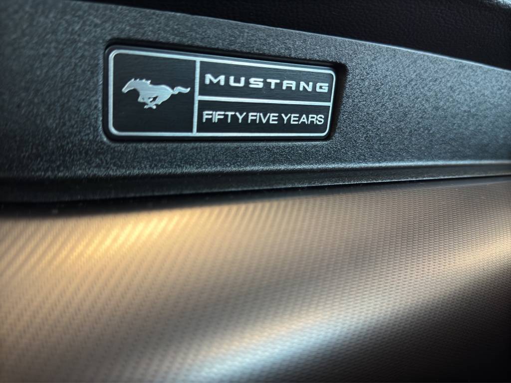 FORD Mustang Fastback 5.0 V8 GT 55 Automat-image-14