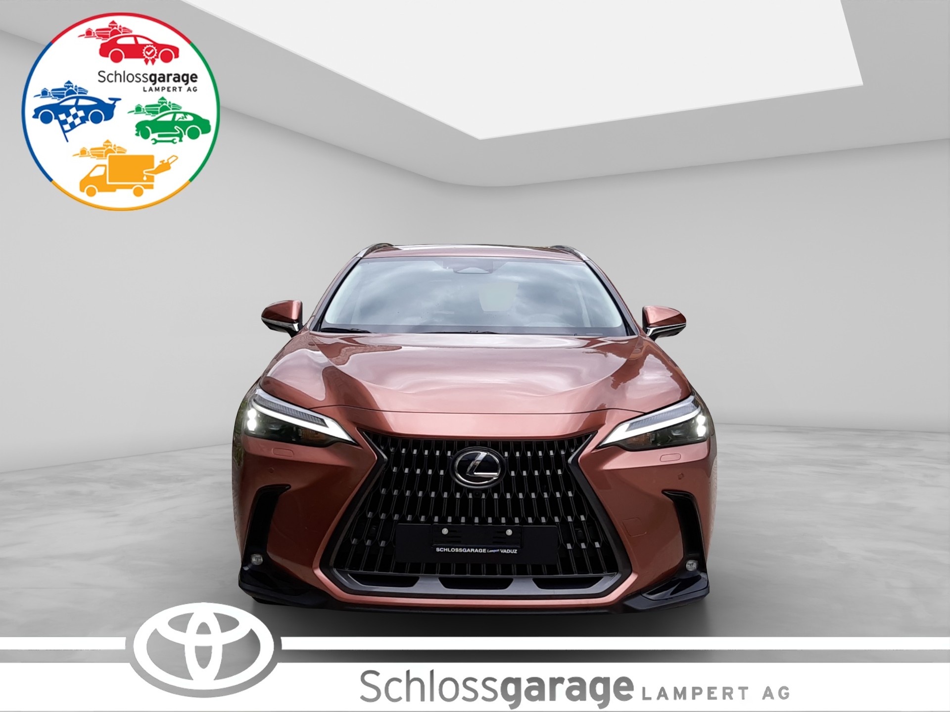 LEXUS NX 450h+ Excellence-image-1