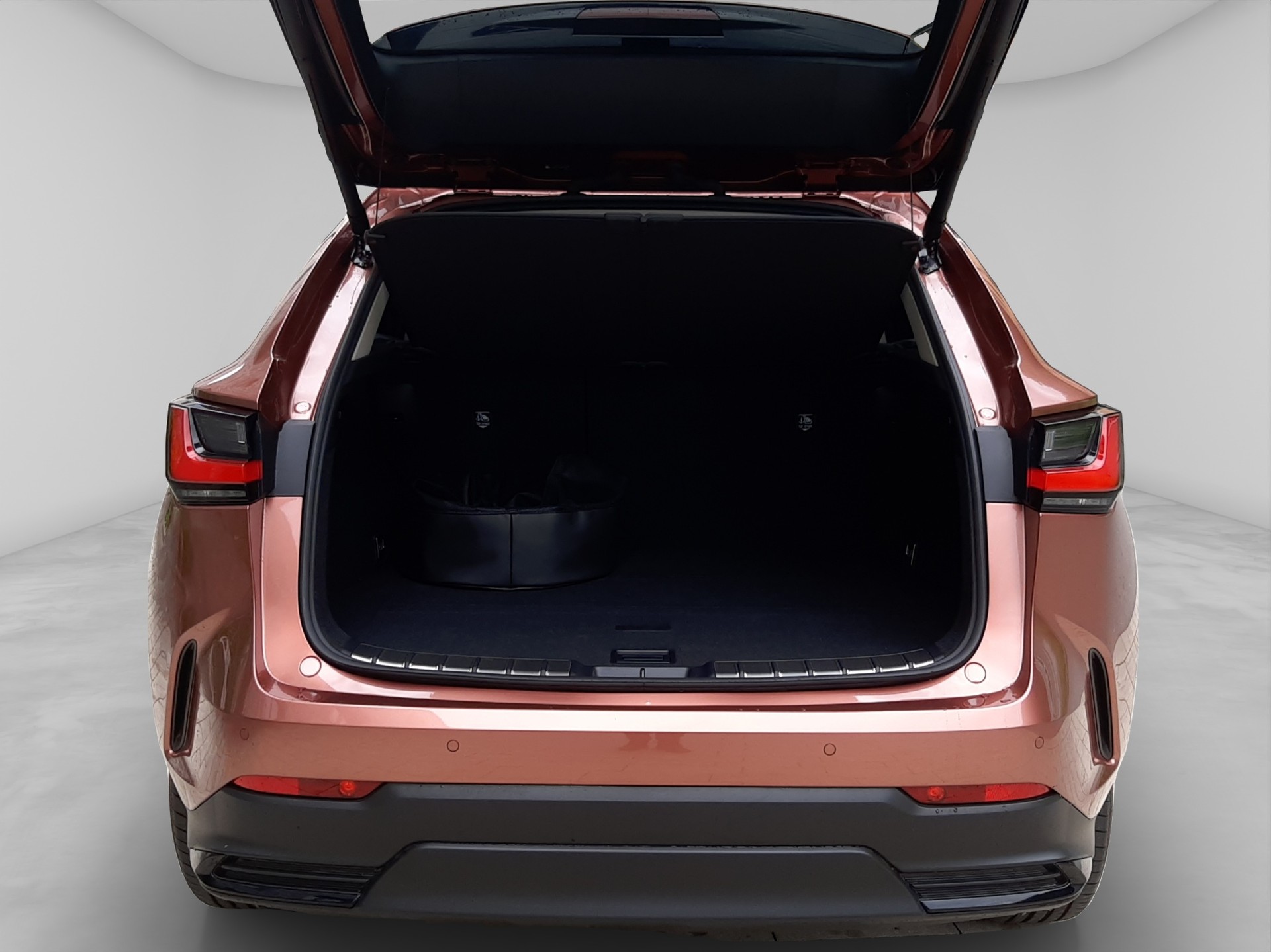 LEXUS NX 450h+ Excellence-image-15