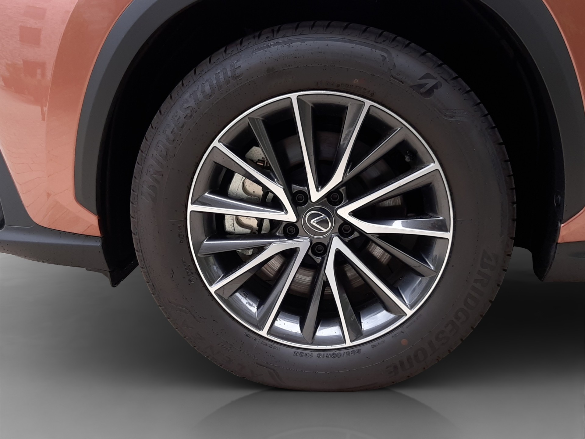 LEXUS NX 450h+ Excellence-image-13