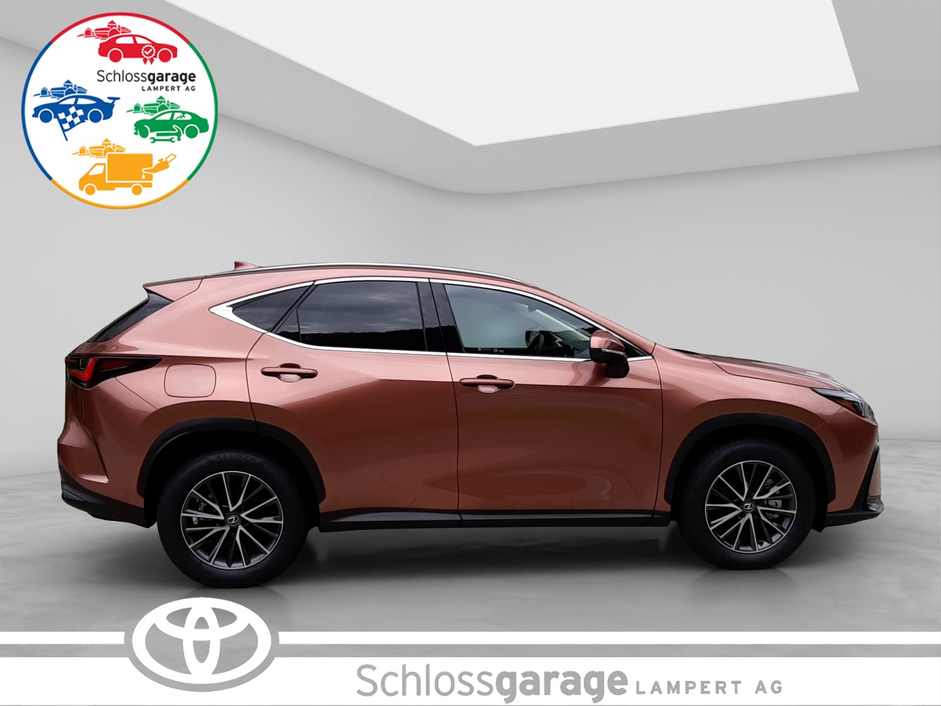 LEXUS NX 450h+ Excellence-image-6