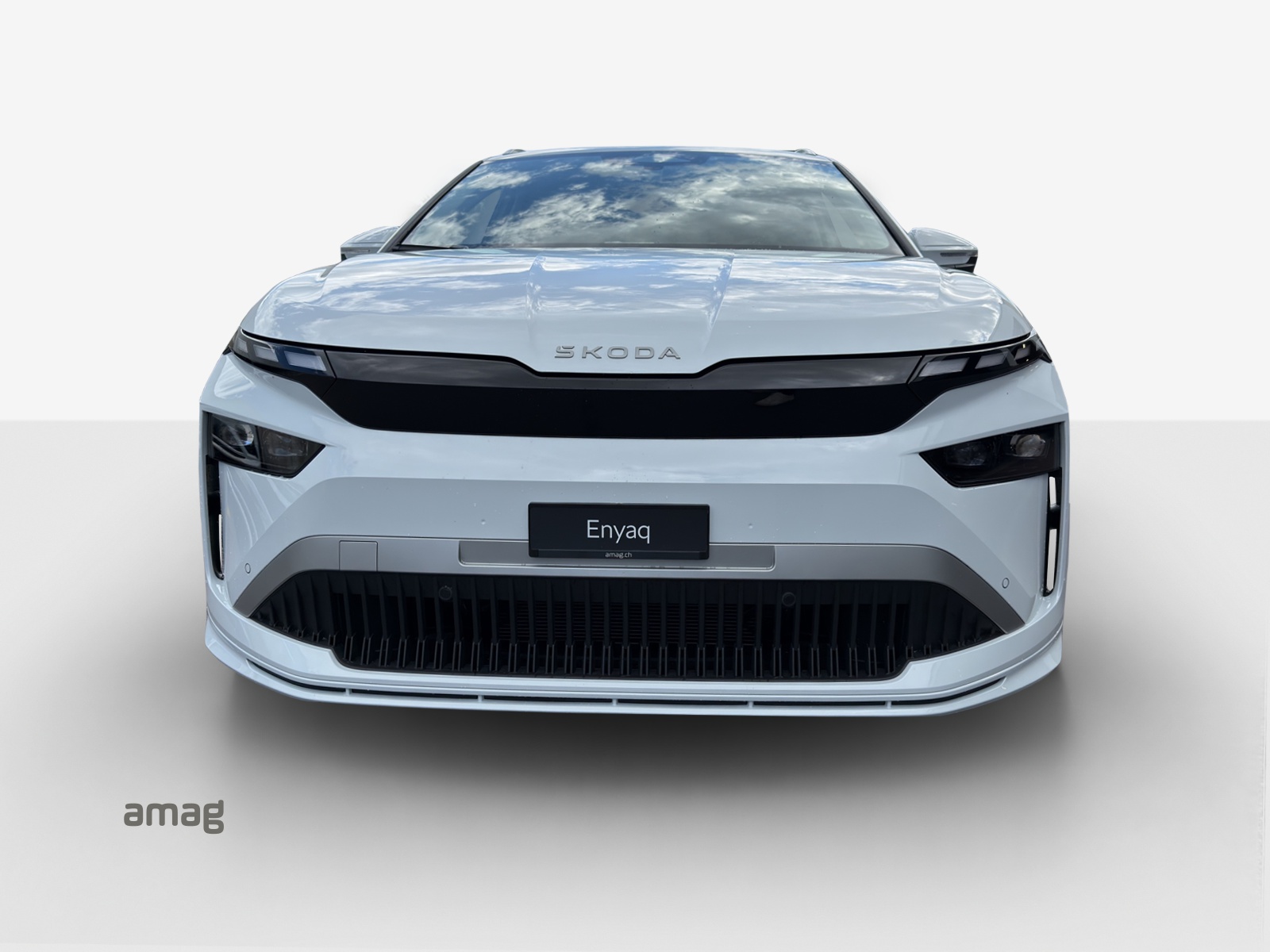 SKODA Enyaq 85x Dynamic 4x4-image-6