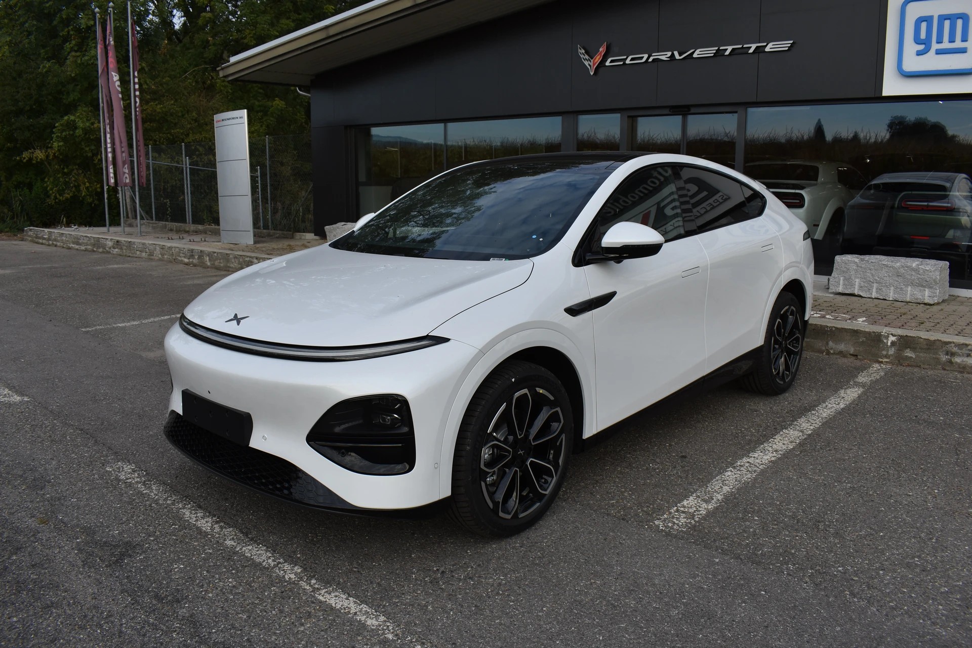 XPENG G6 80kWh Performance AWD-image-8