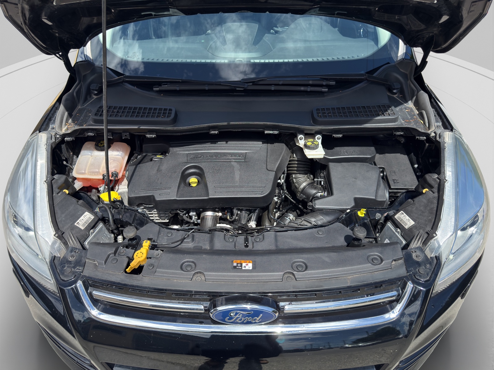FORD Kuga 2.0 TDCi Titanium 4WD PowerShift-image-7