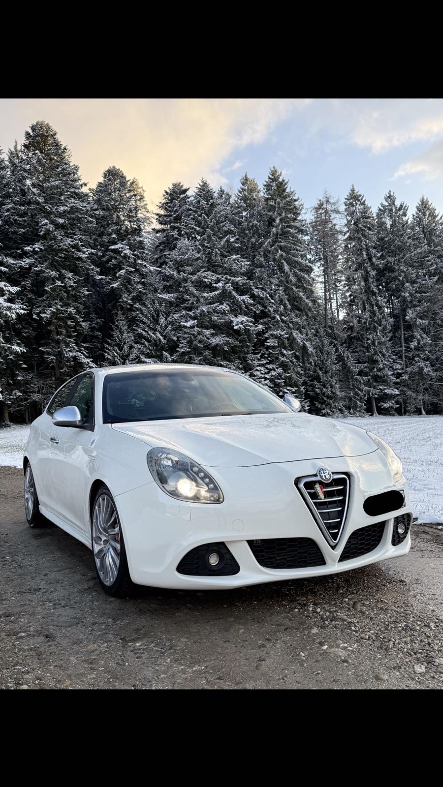 ALFA ROMEO 1750 TBi Quadrifoglio Verde-image-0