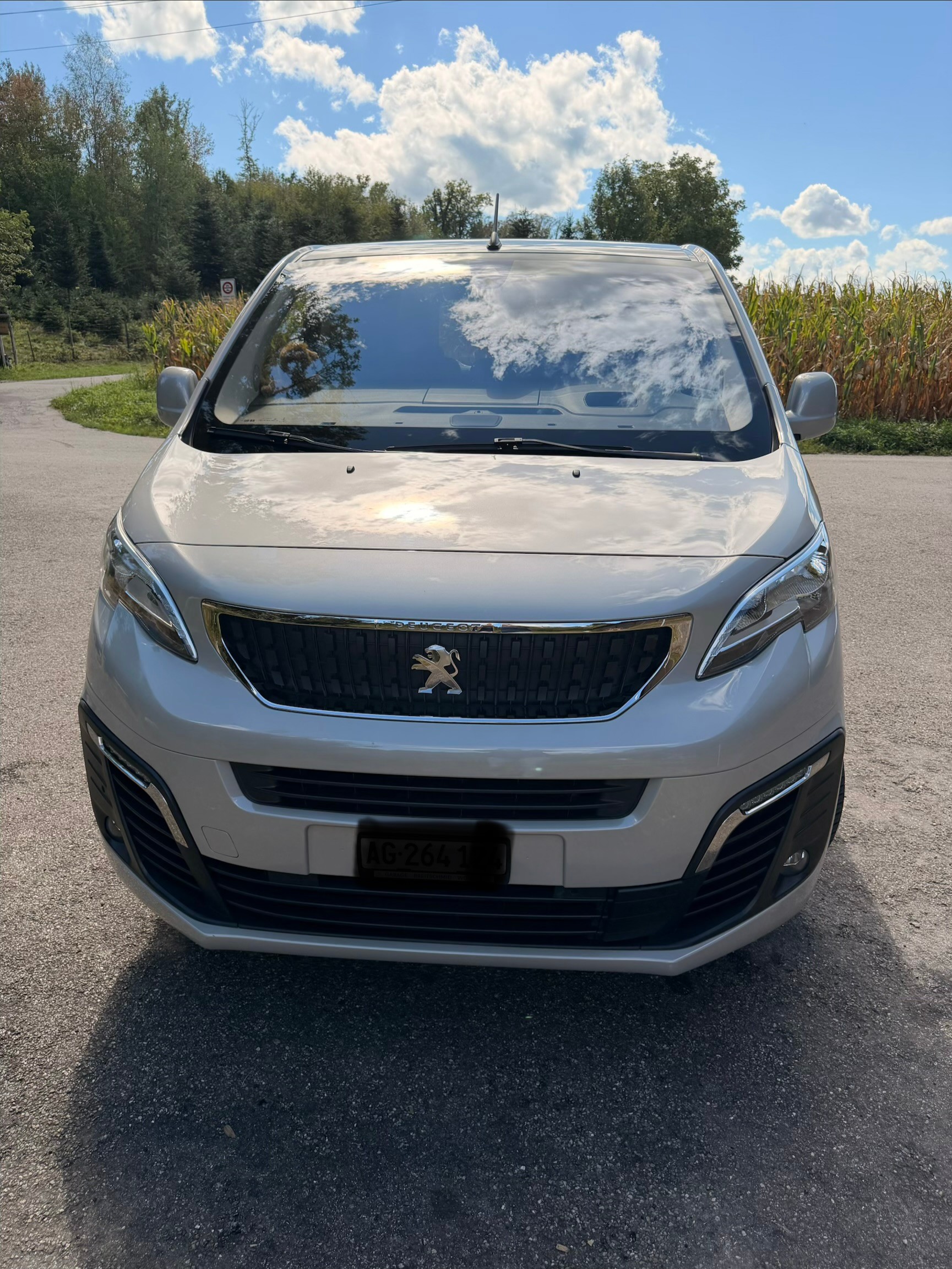 PEUGEOT 2.0 BlueHDi 150 Active S/S-image-2