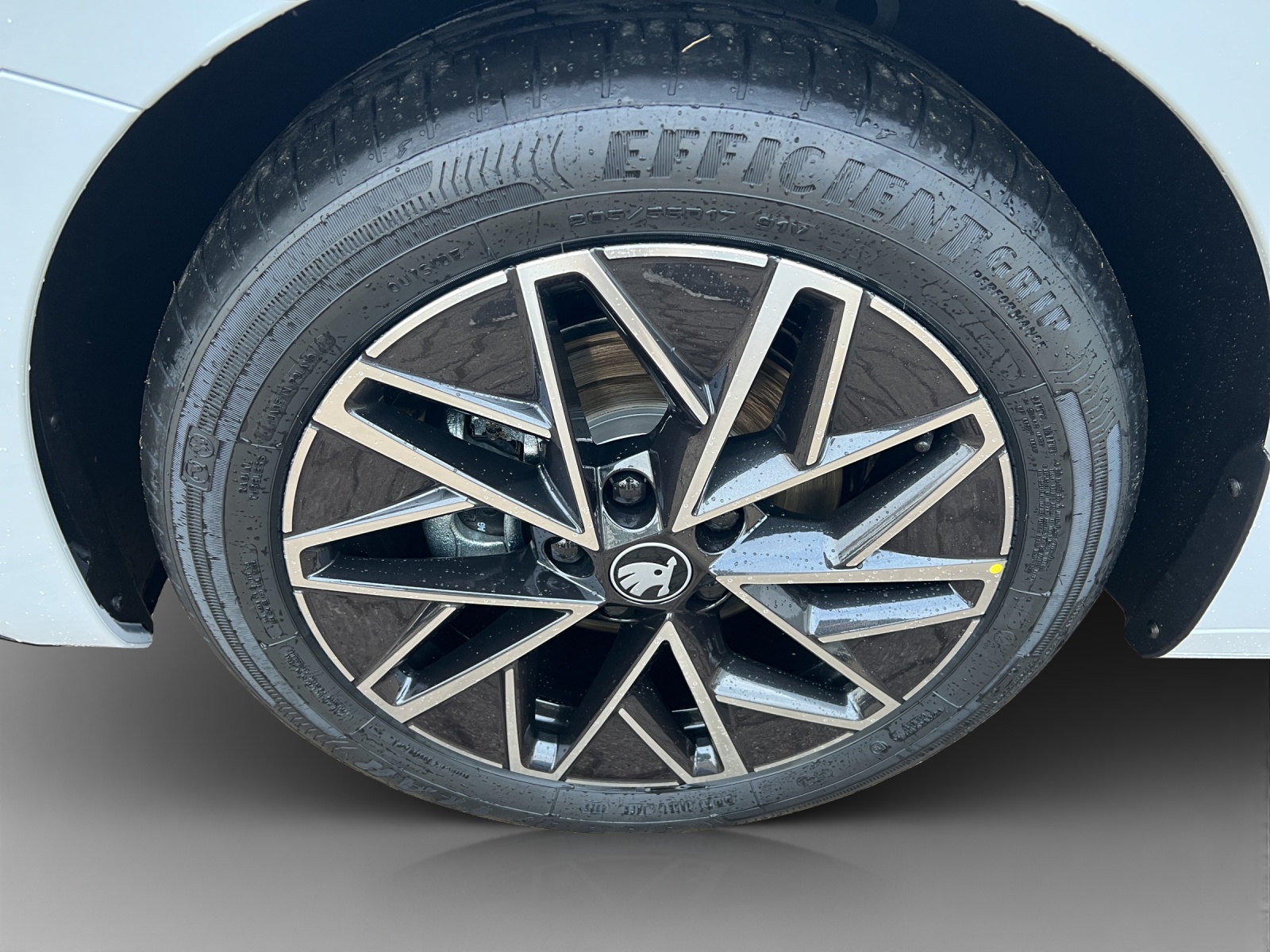SKODA Octavia Sportline Dynamic-image-14