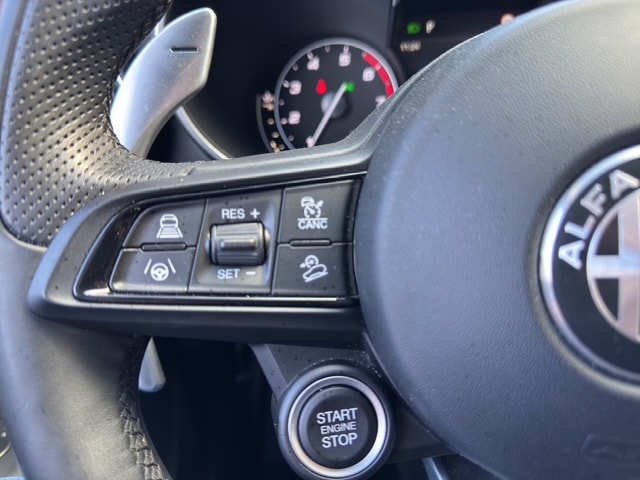 ALFA ROMEO Stelvio 2.0 Sprint Q4 Q4 Automatic-image-19