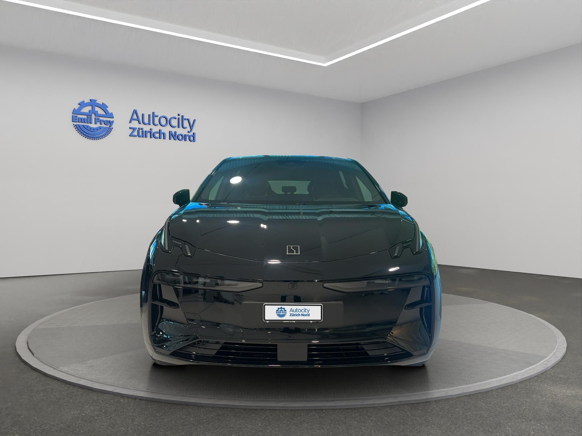 ZEEKR X Privilege AWD-showroom-element-1