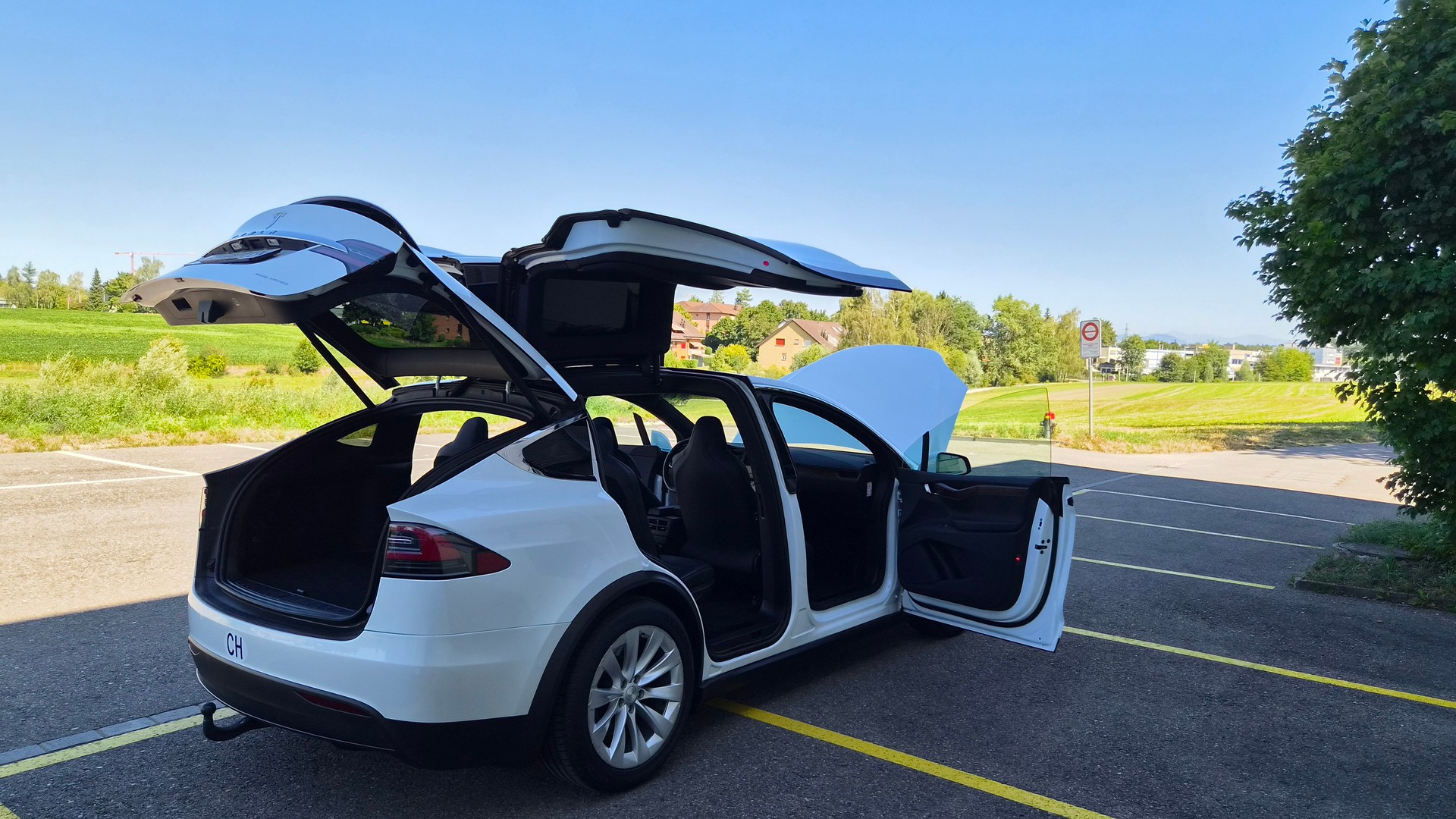 TESLA Model X Long-Range "Raven"-image-8