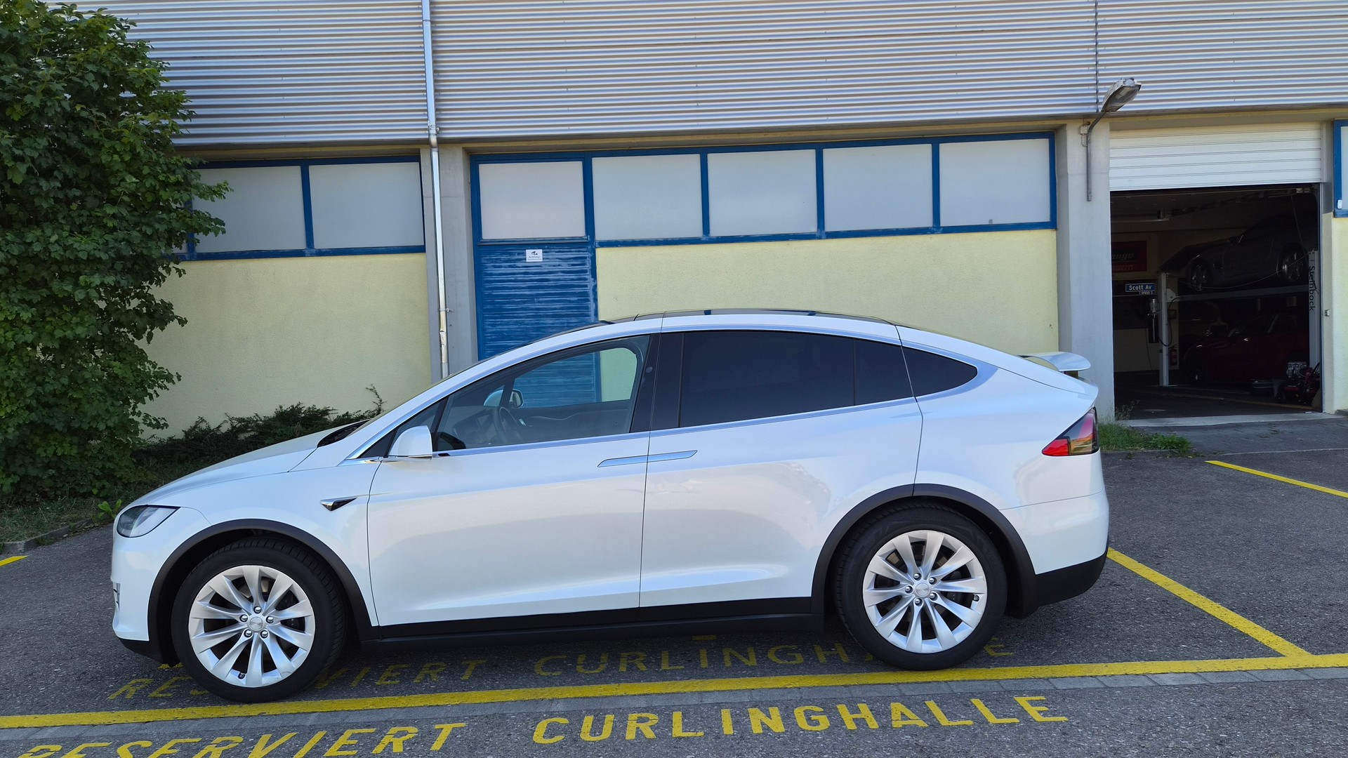 TESLA Model X Long-Range "Raven"-image-7