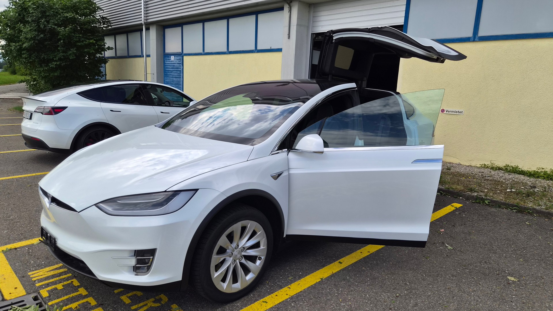 TESLA Model X Long-Range "Raven"-image-1