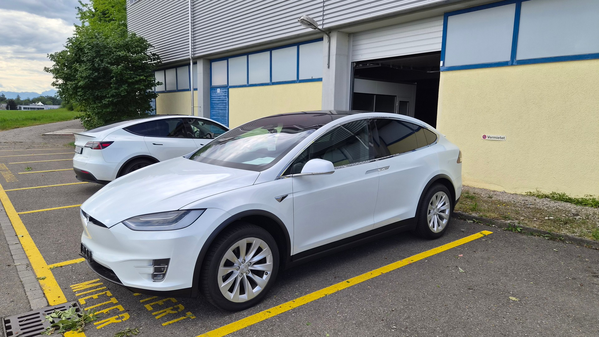 TESLA Model X Long-Range "Raven"