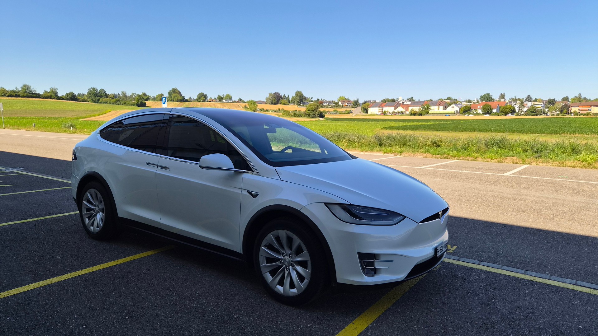 TESLA Model X Long-Range "Raven"-image-2