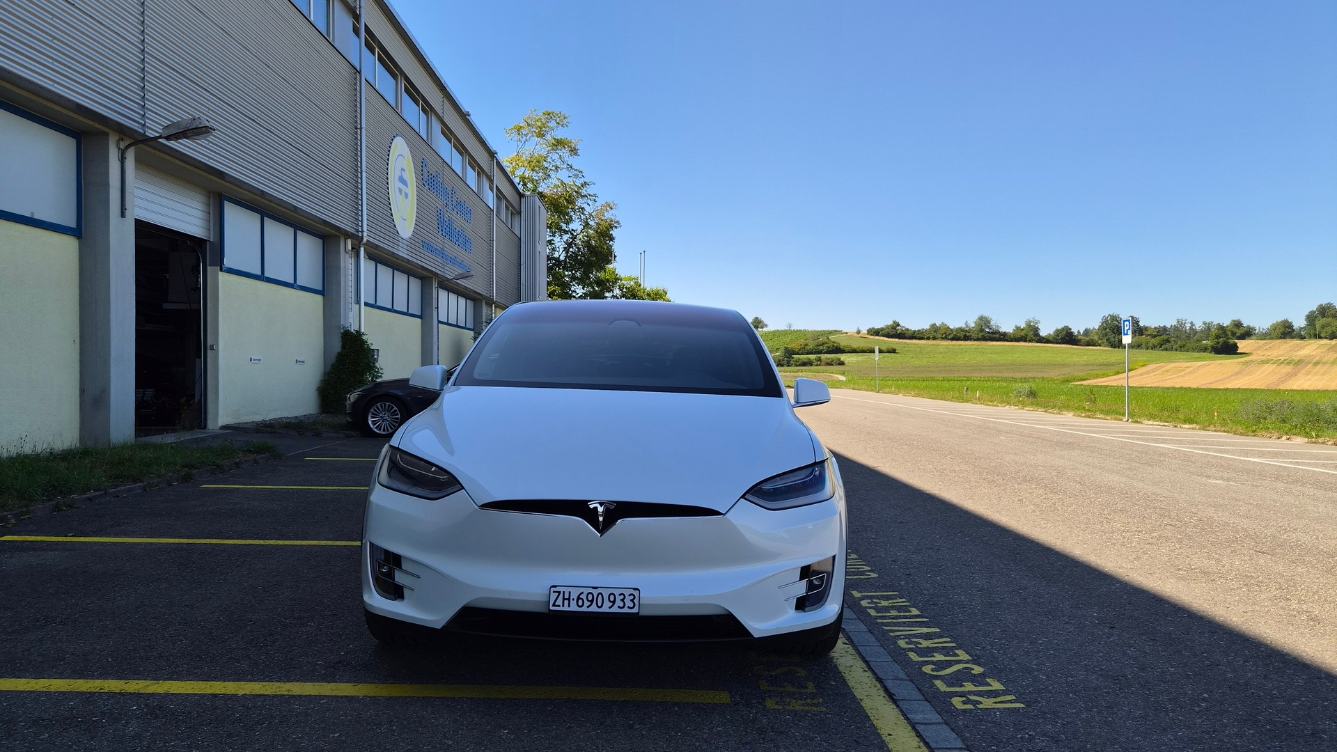 TESLA Model X Long-Range "Raven"-image-1