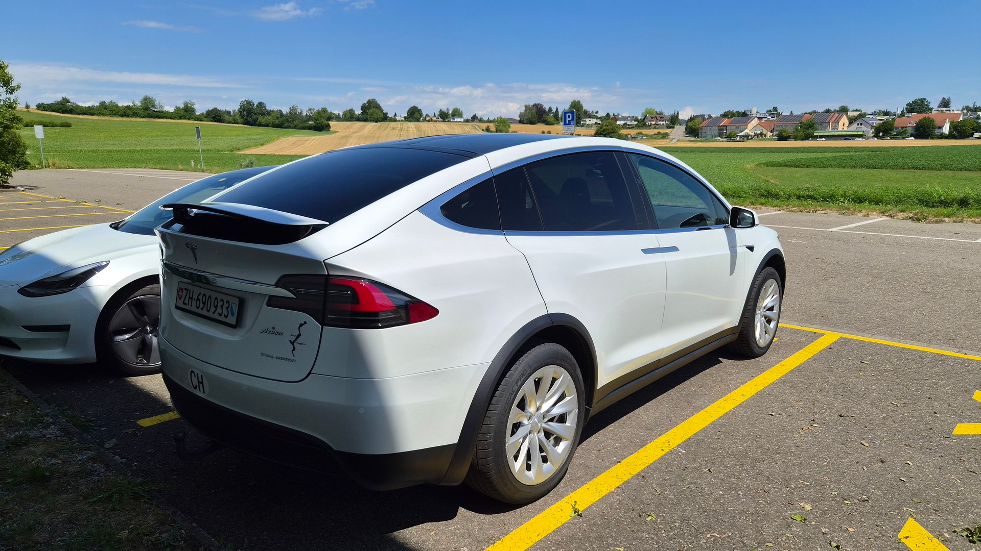TESLA Model X Long-Range "Raven"-image-2