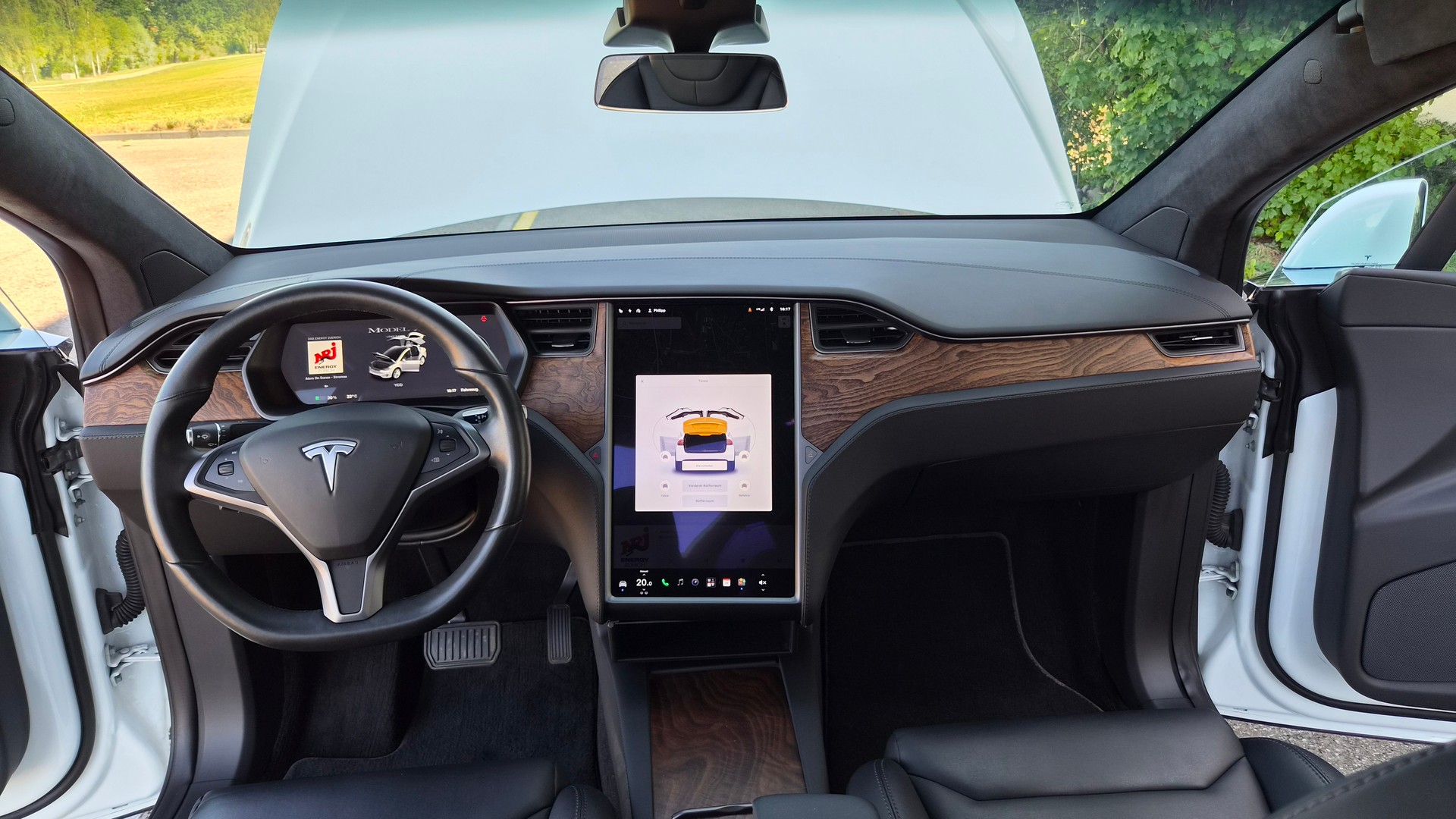 TESLA Model X Long-Range "Raven"-image-11