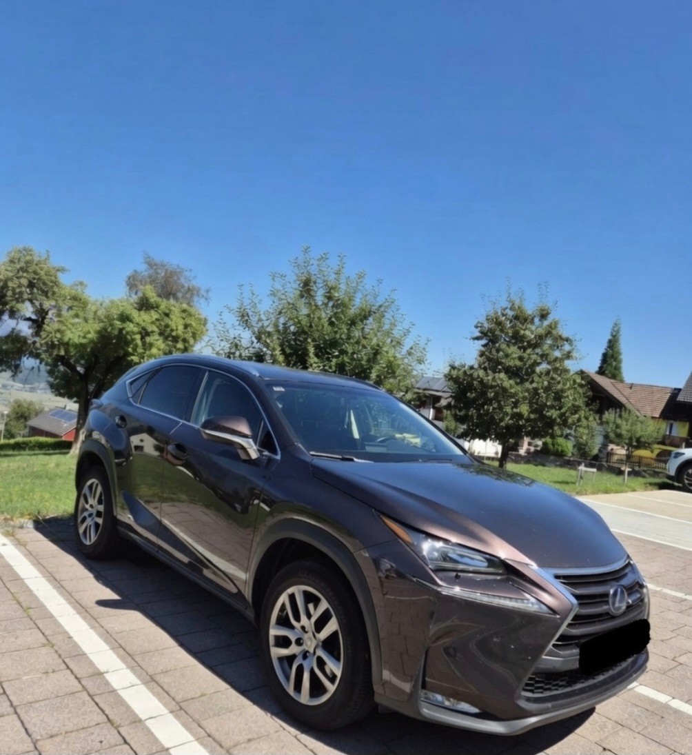 LEXUS NX-image-1