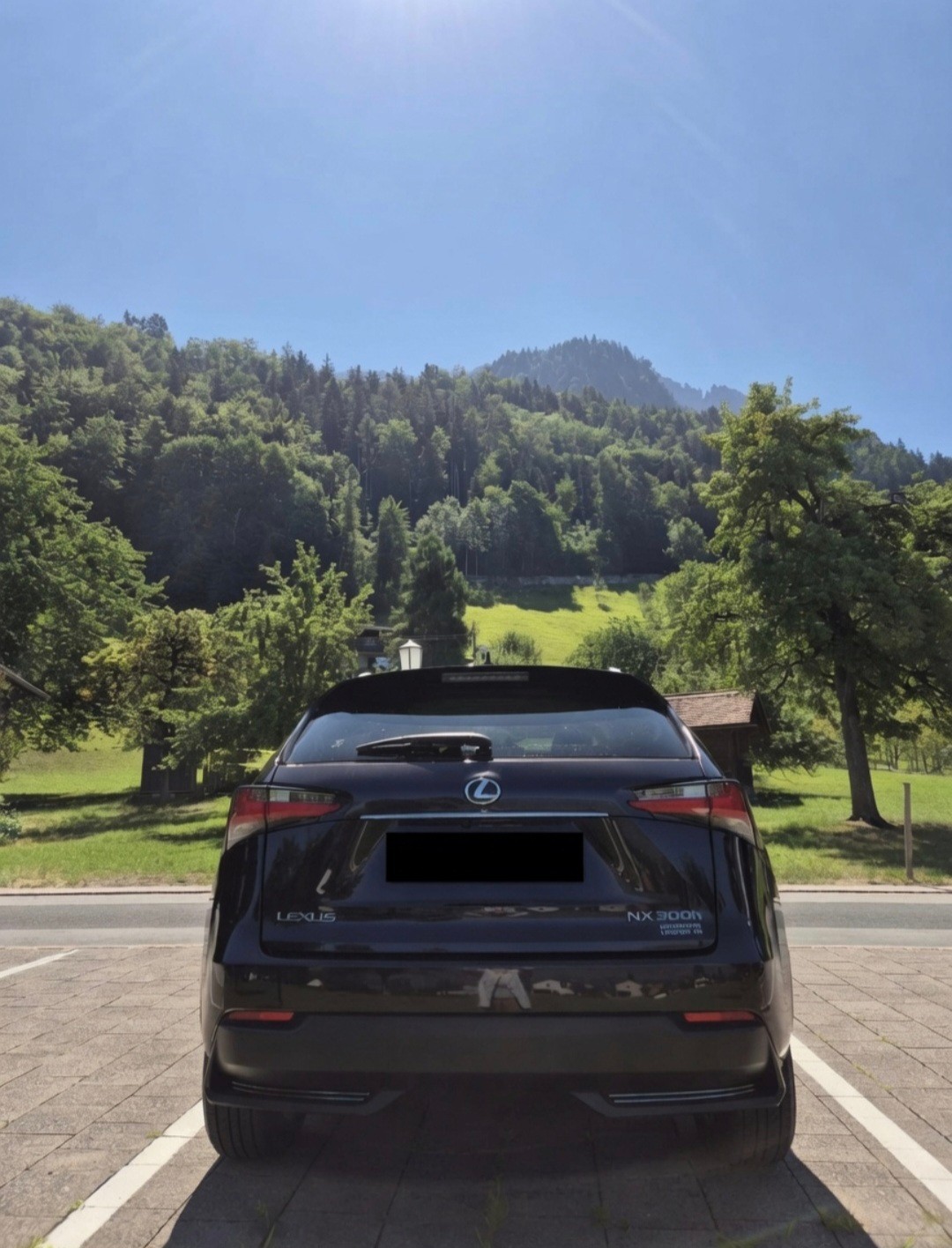 LEXUS NX-image-2