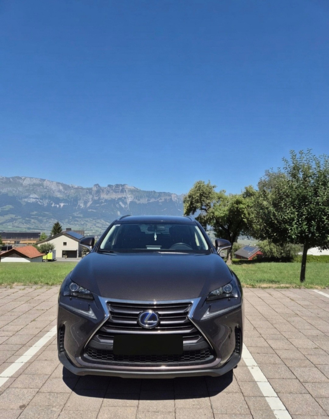 LEXUS NX-image-3